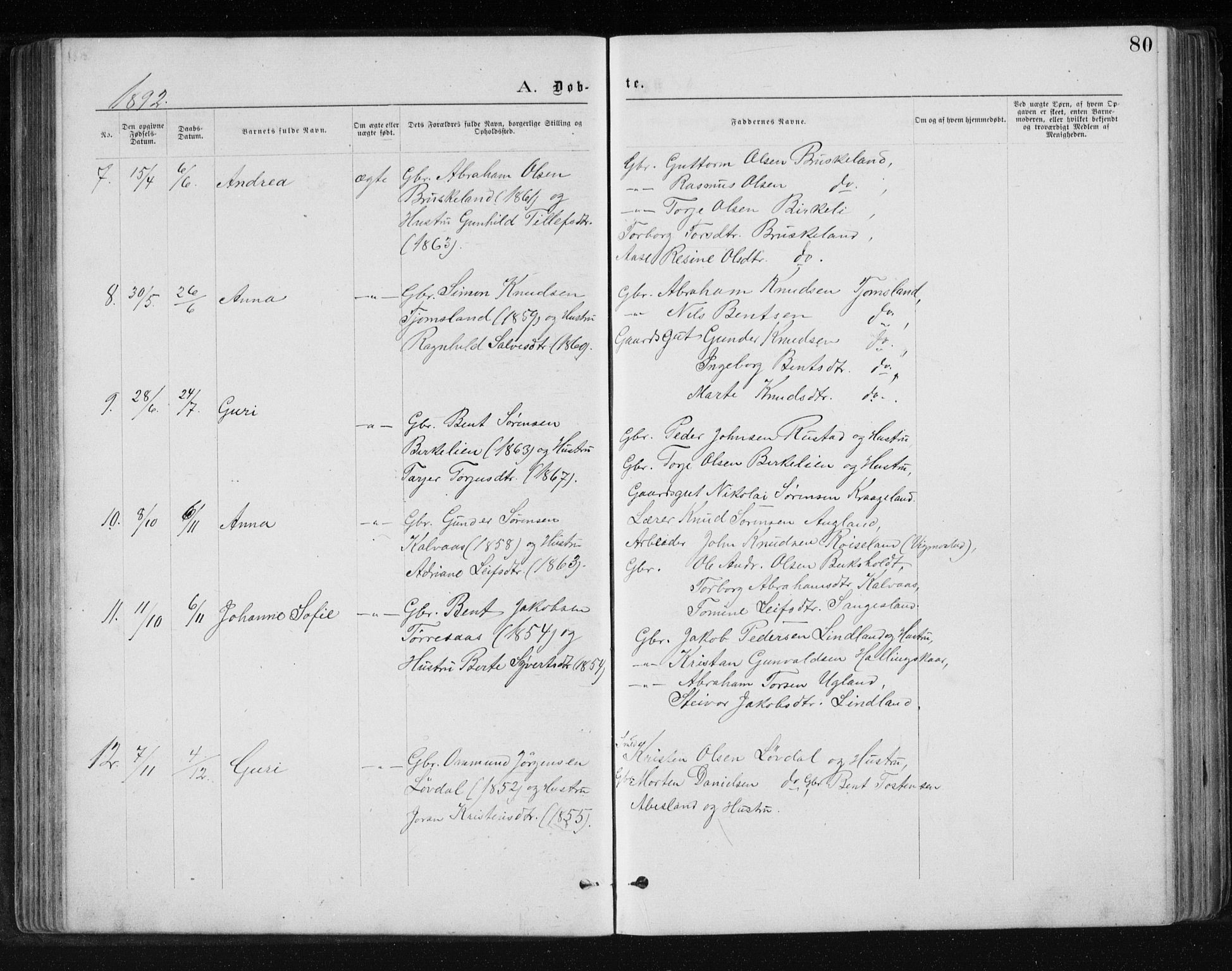 Holum sokneprestkontor, AV/SAK-1111-0022/F/Fb/Fbb/L0003: Parish register (copy) no. B 3, 1875-1898, p. 80