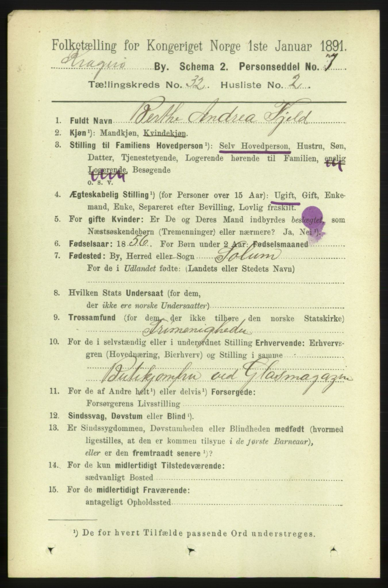 RA, 1891 census for 0801 Kragerø, 1891, p. 5799