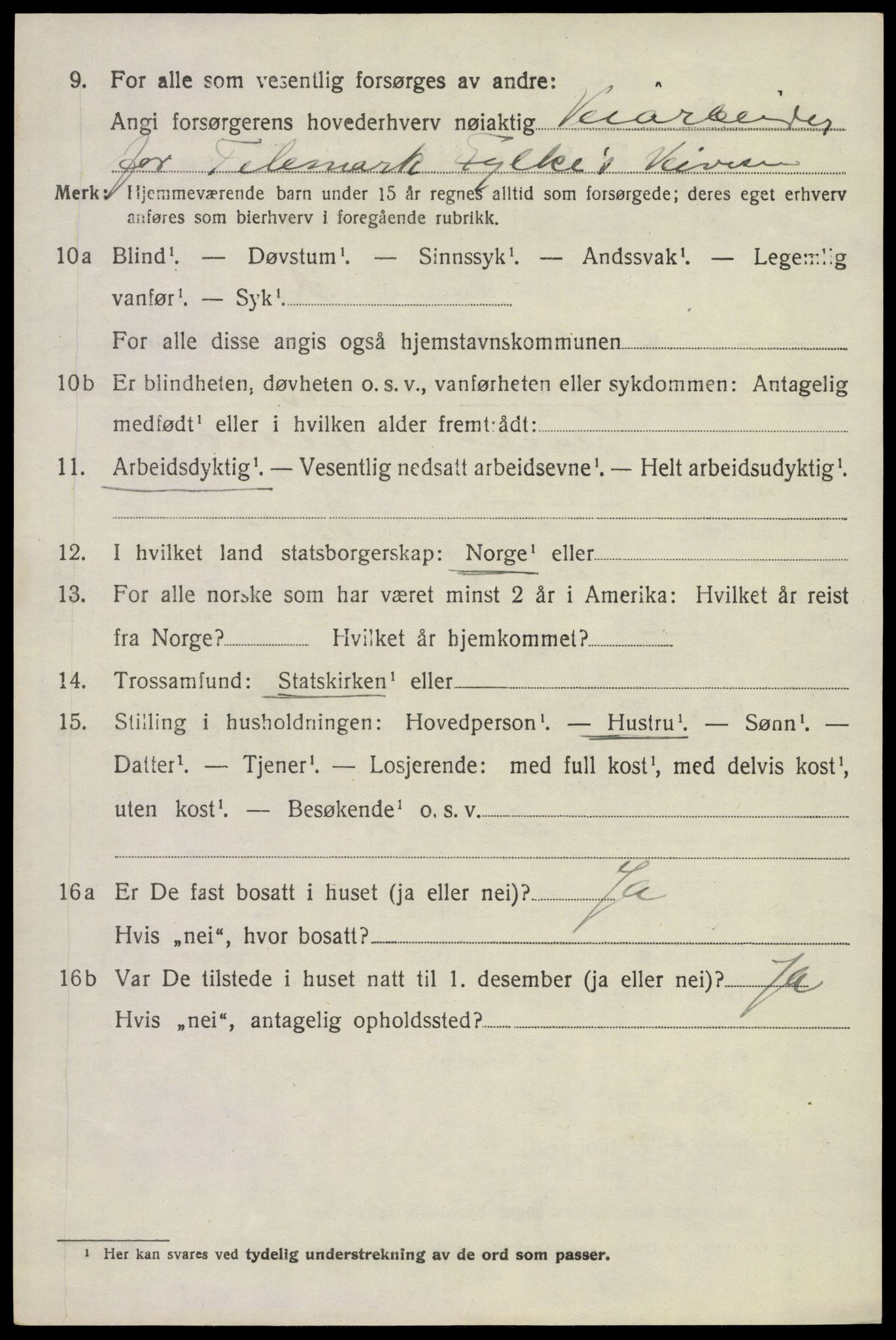 SAKO, 1920 census for Solum, 1920, p. 13165