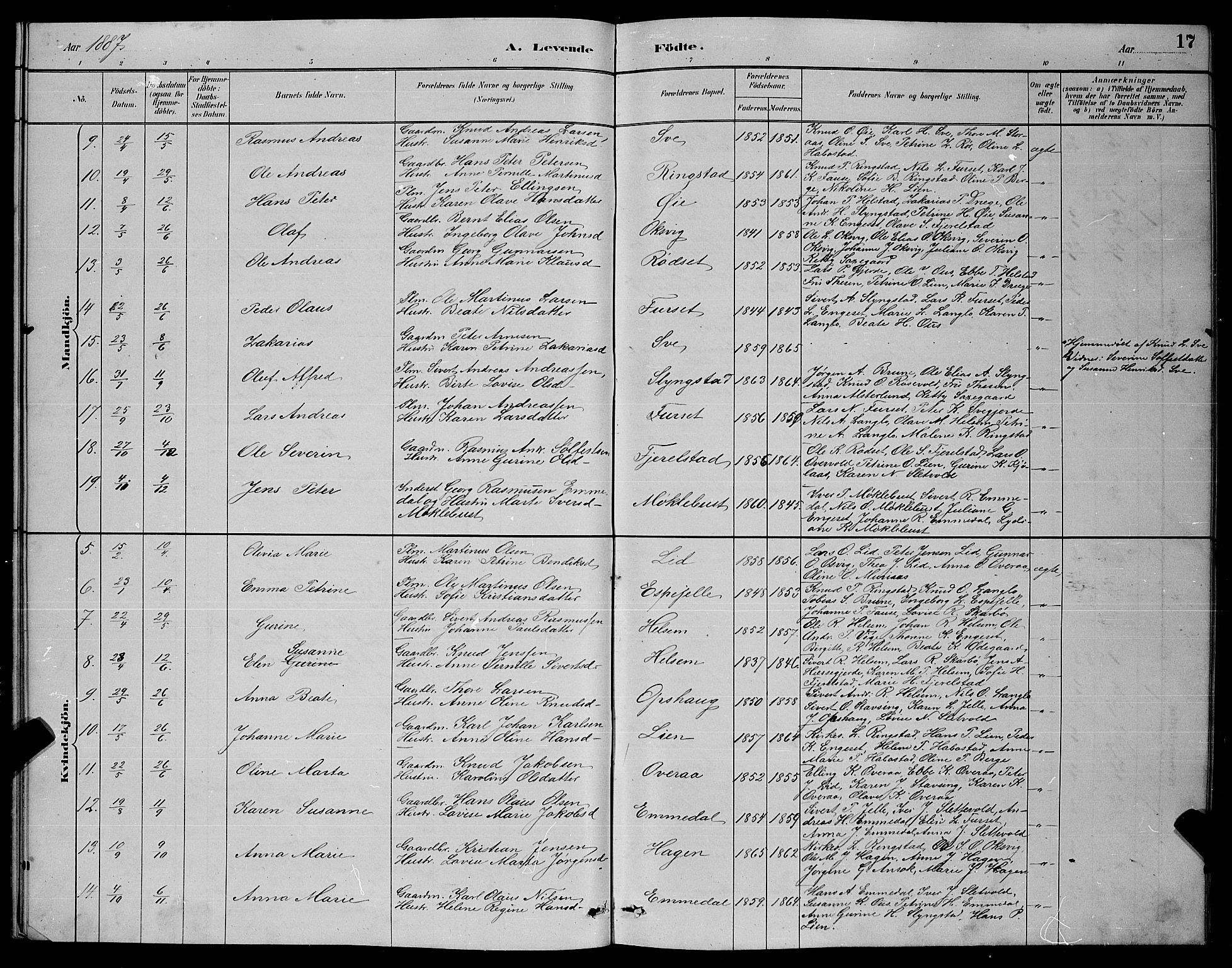 Ministerialprotokoller, klokkerbøker og fødselsregistre - Møre og Romsdal, AV/SAT-A-1454/520/L0292: Parish register (copy) no. 520C04, 1882-1901, p. 17