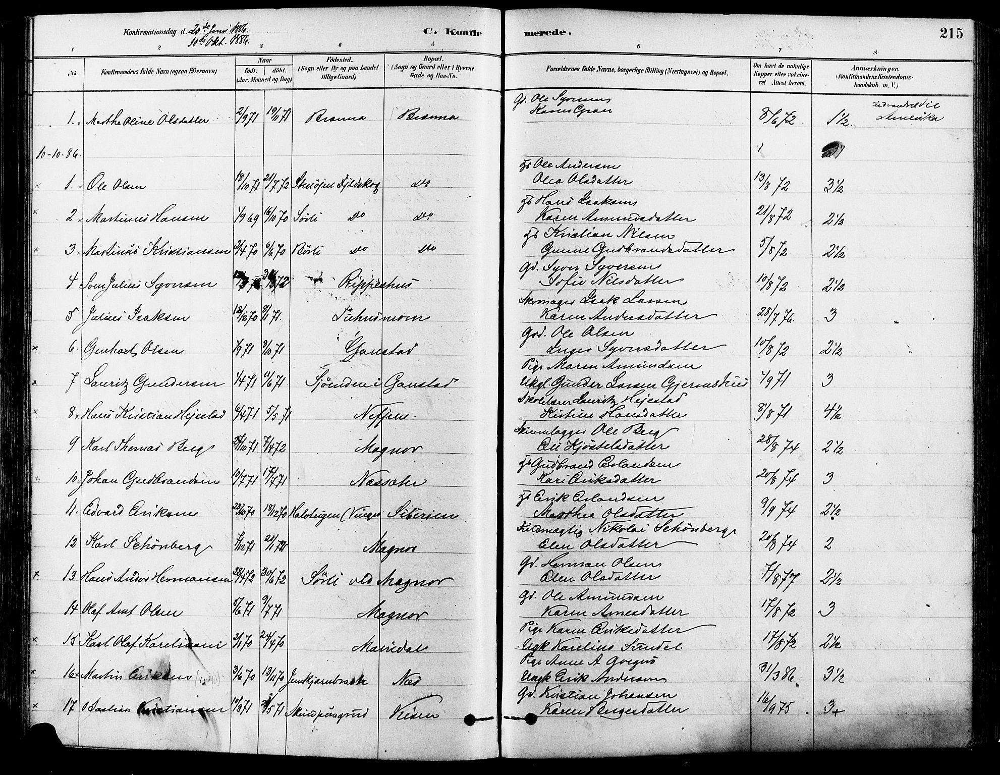 Eidskog prestekontor, AV/SAH-PREST-026/H/Ha/Haa/L0003: Parish register (official) no. 3, 1879-1892, p. 215