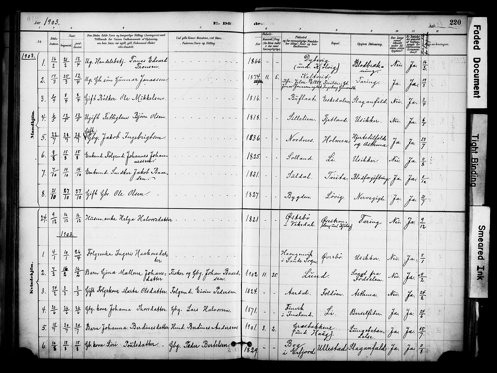 Jelsa sokneprestkontor, SAST/A-101842/01/IV: Parish register (official) no. A 10, 1884-1906, p. 220