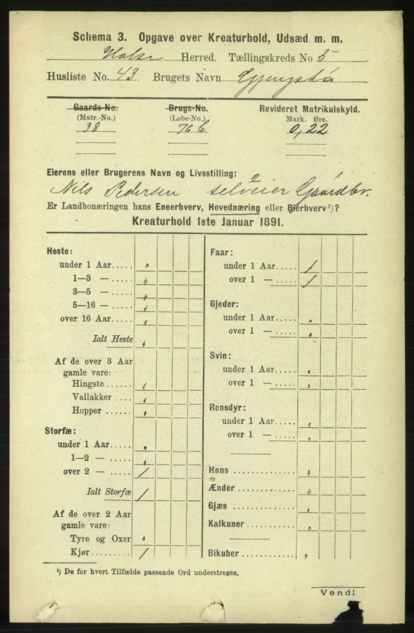 RA, 1891 census for 1571 Halsa, 1891, p. 2204