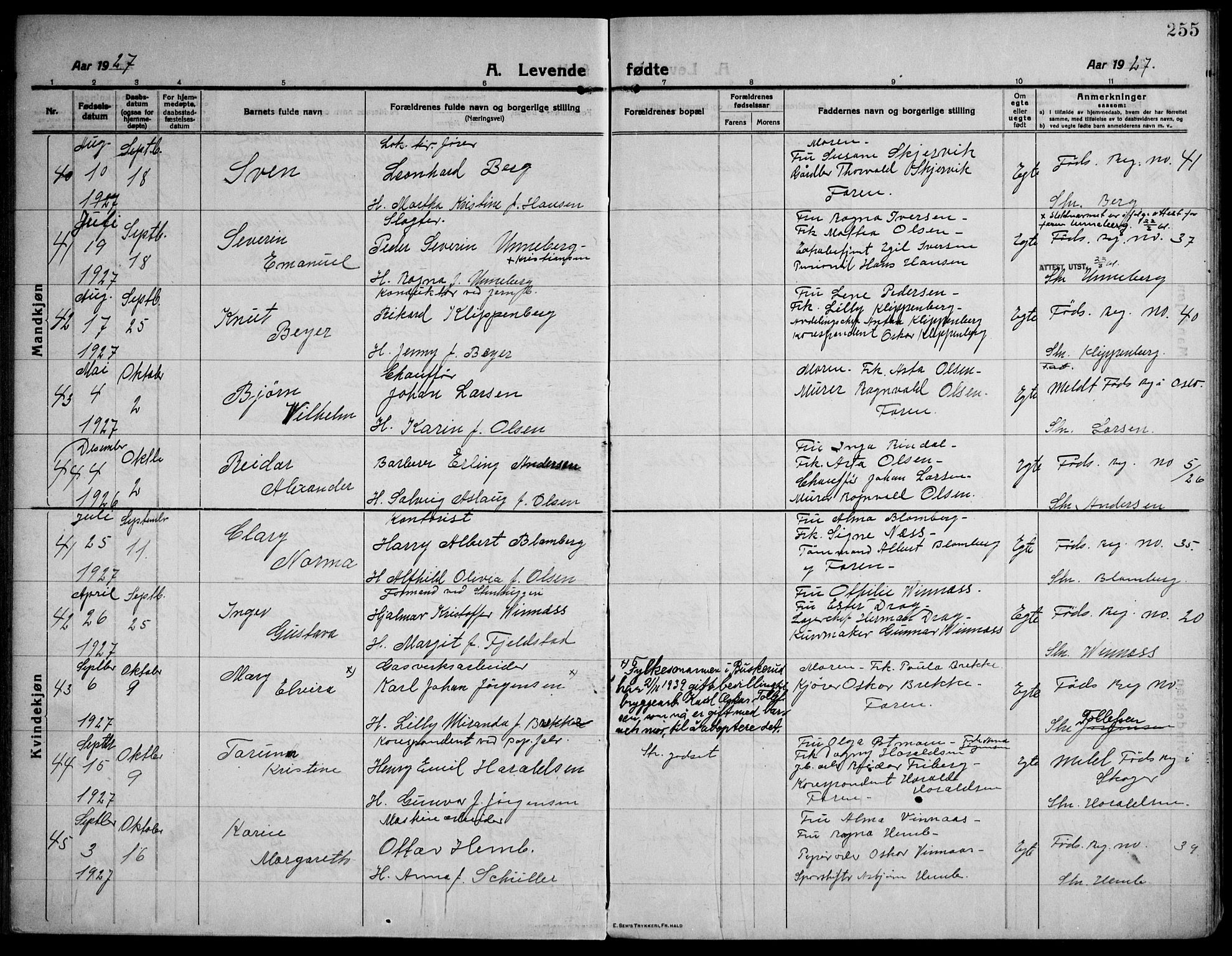 Strømsø kirkebøker, AV/SAKO-A-246/F/Fa/L0029: Parish register (official) no. I 27, 1915-1930, p. 255