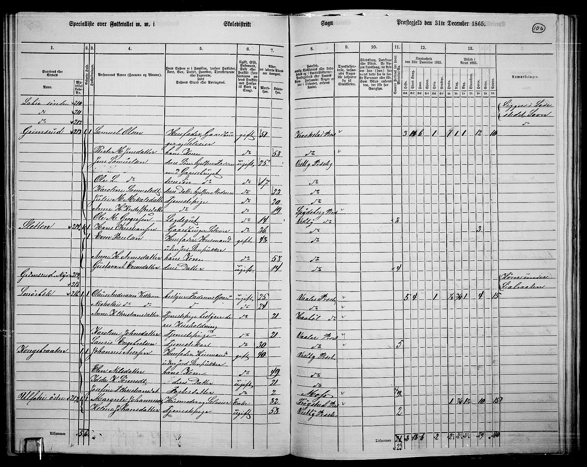 RA, 1865 census for Vestby, 1865, p. 100