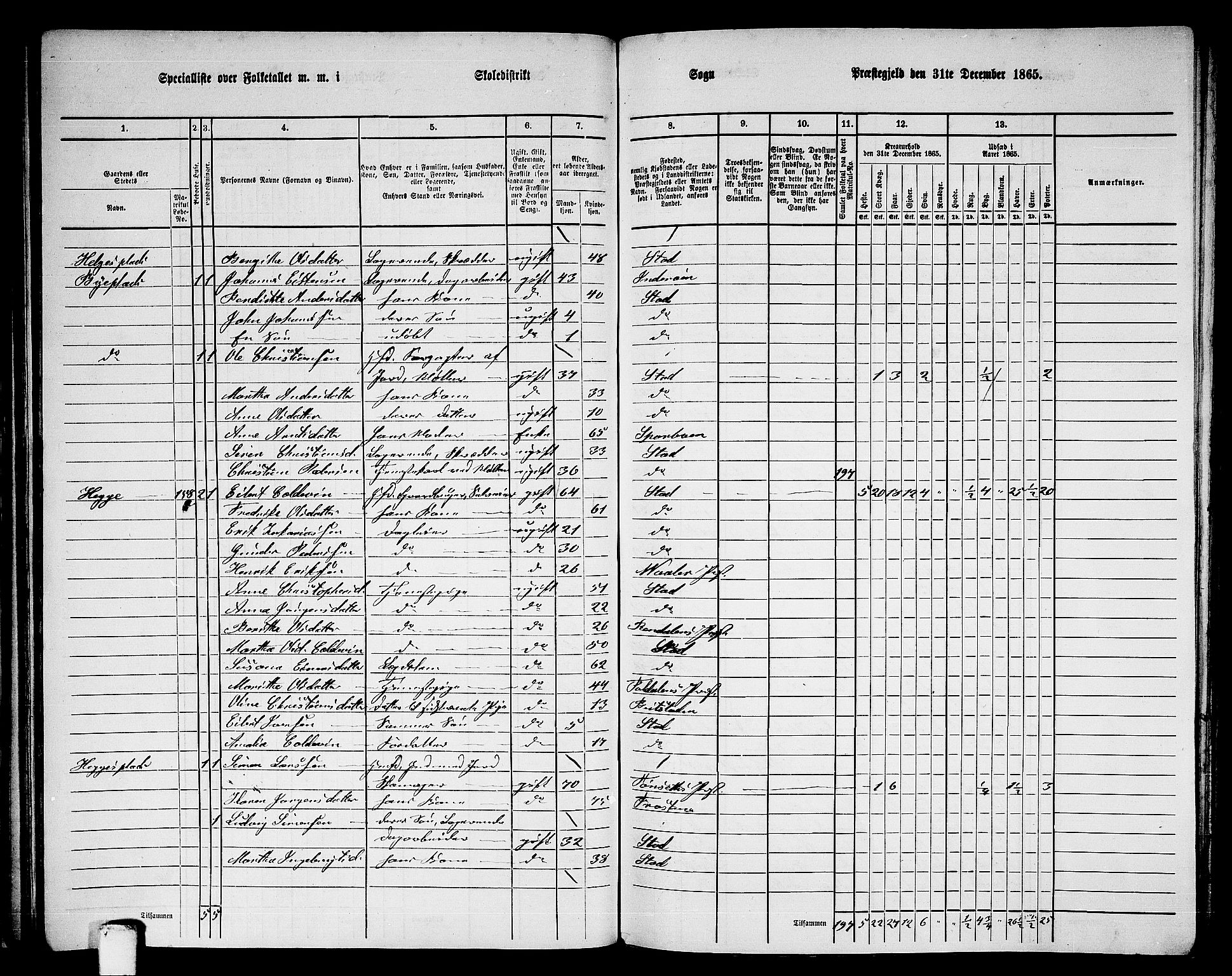 RA, 1865 census for Stod, 1865, p. 79