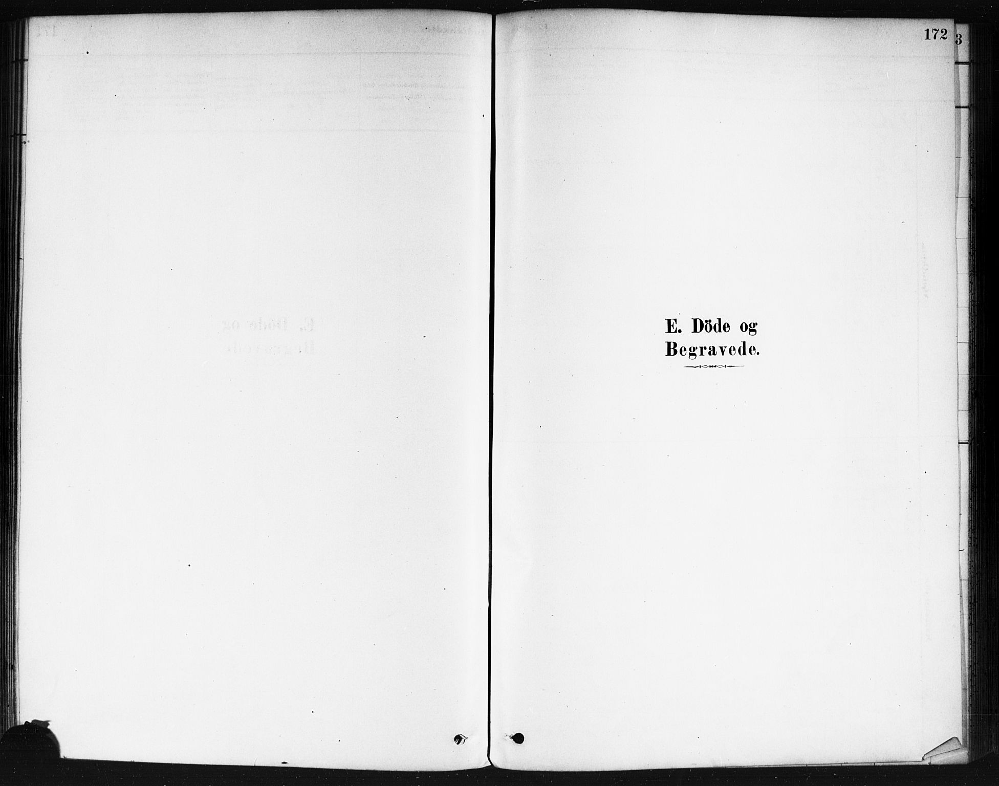 Våler prestekontor Kirkebøker, AV/SAO-A-11083/F/Fa/L0010: Parish register (official) no. I 10, 1878-1896, p. 172