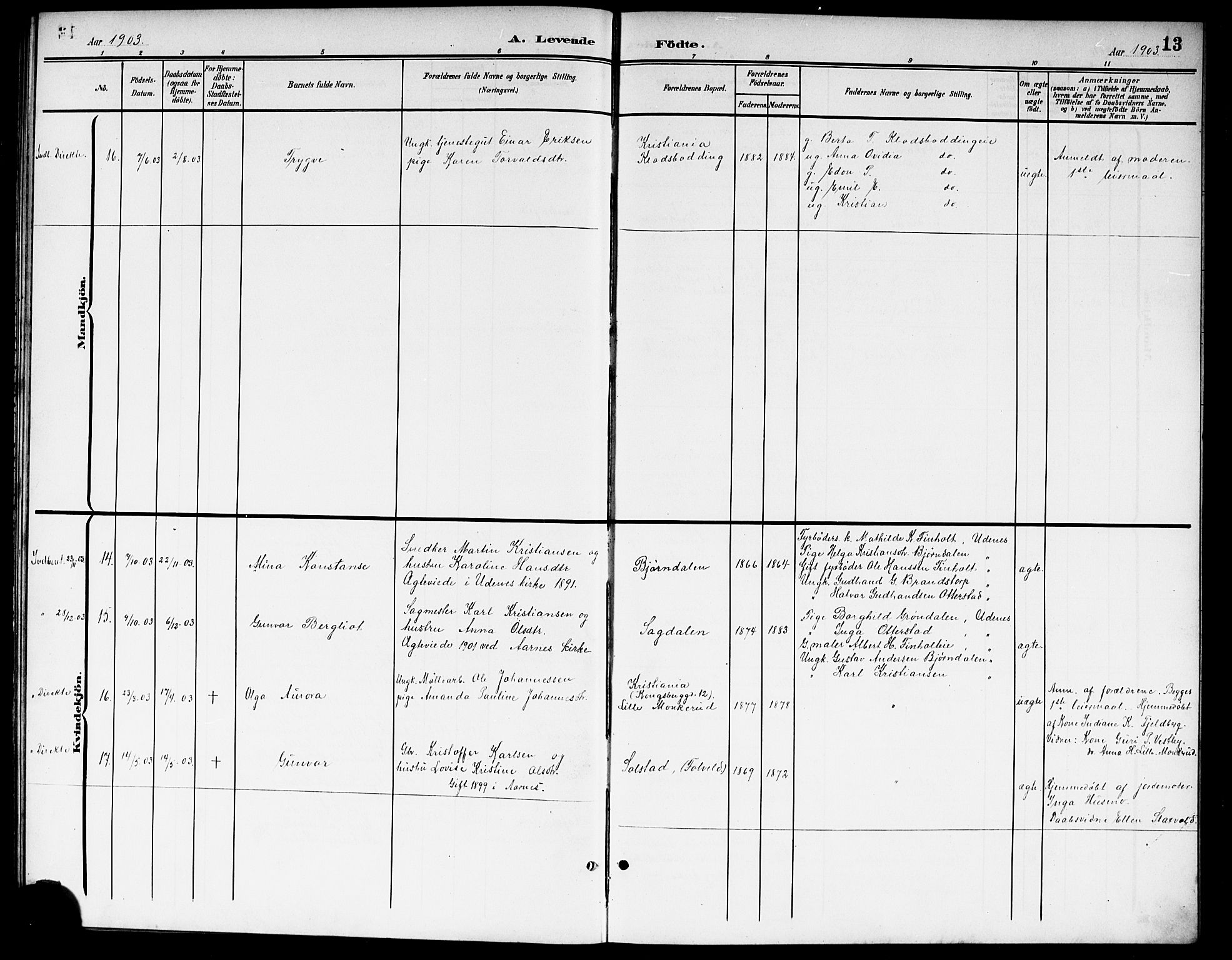 Nes prestekontor Kirkebøker, SAO/A-10410/G/Gb/L0001: Parish register (copy) no. II 1, 1901-1917, p. 13