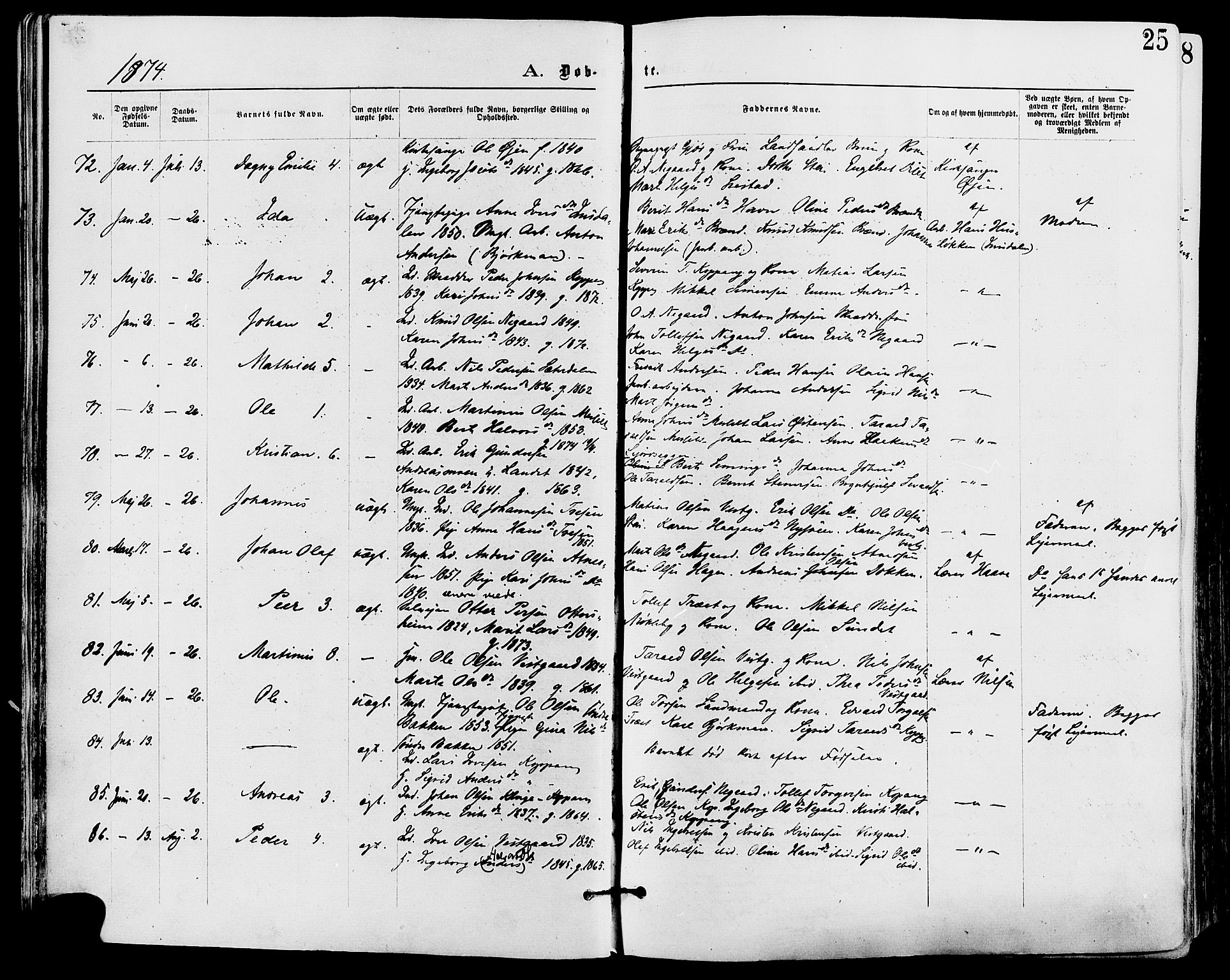 Stor-Elvdal prestekontor, SAH/PREST-052/H/Ha/Haa/L0001: Parish register (official) no. 1, 1871-1882, p. 25