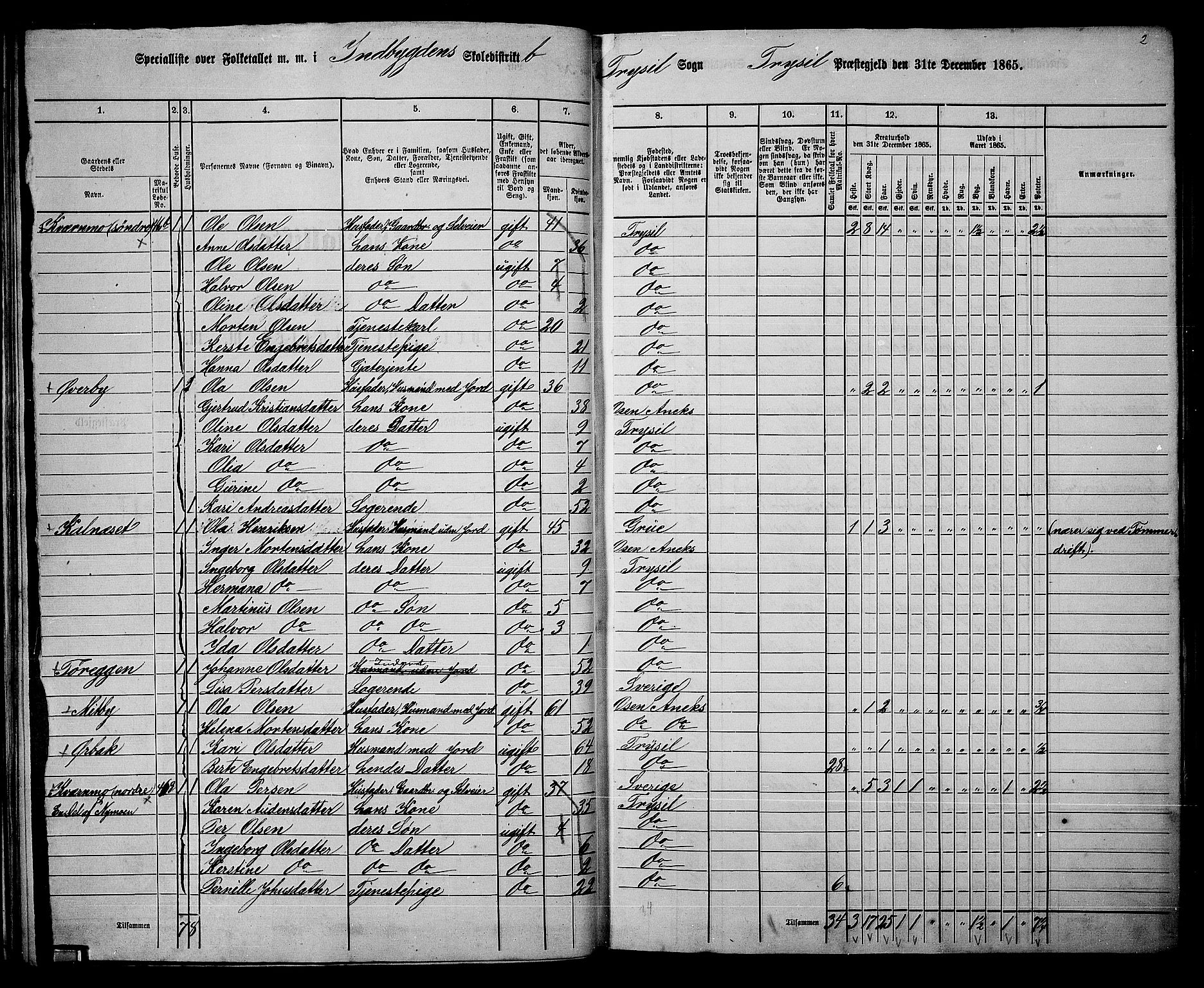 RA, 1865 census for Trysil, 1865, p. 31