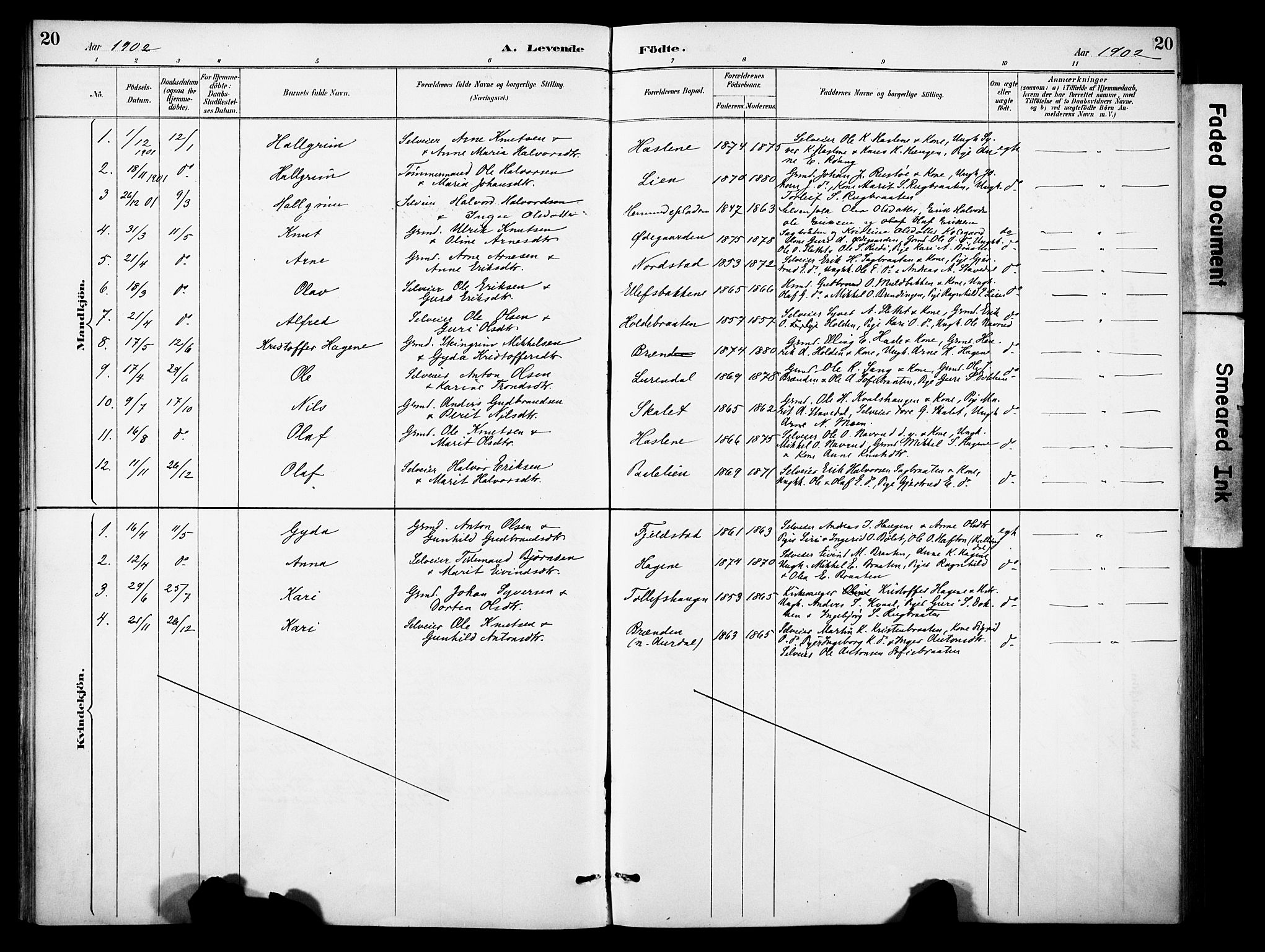 Sør-Aurdal prestekontor, SAH/PREST-128/H/Ha/Haa/L0010: Parish register (official) no. 10, 1886-1906, p. 20