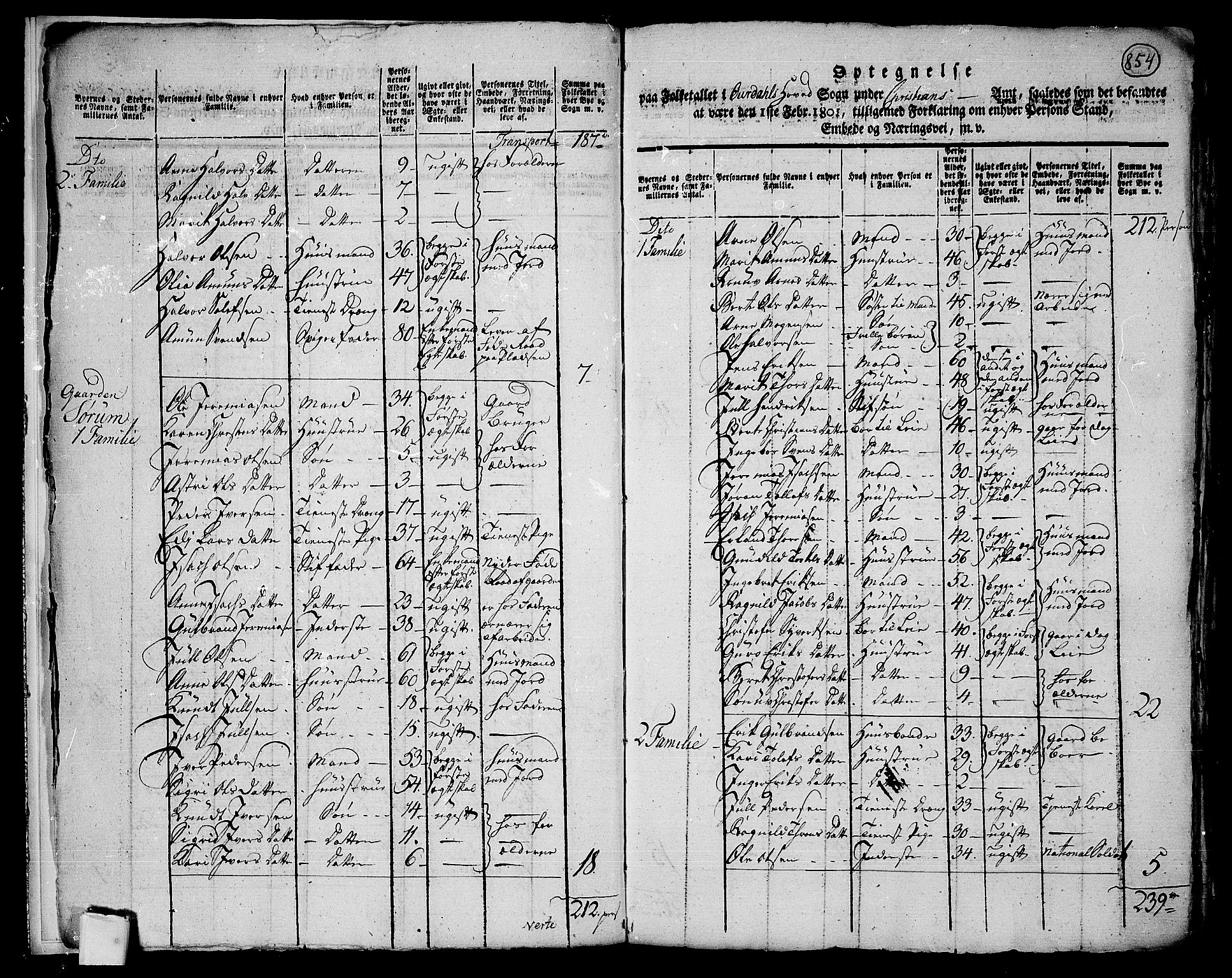 RA, 1801 census for 0542P Aurdal, 1801, p. 853b-854a