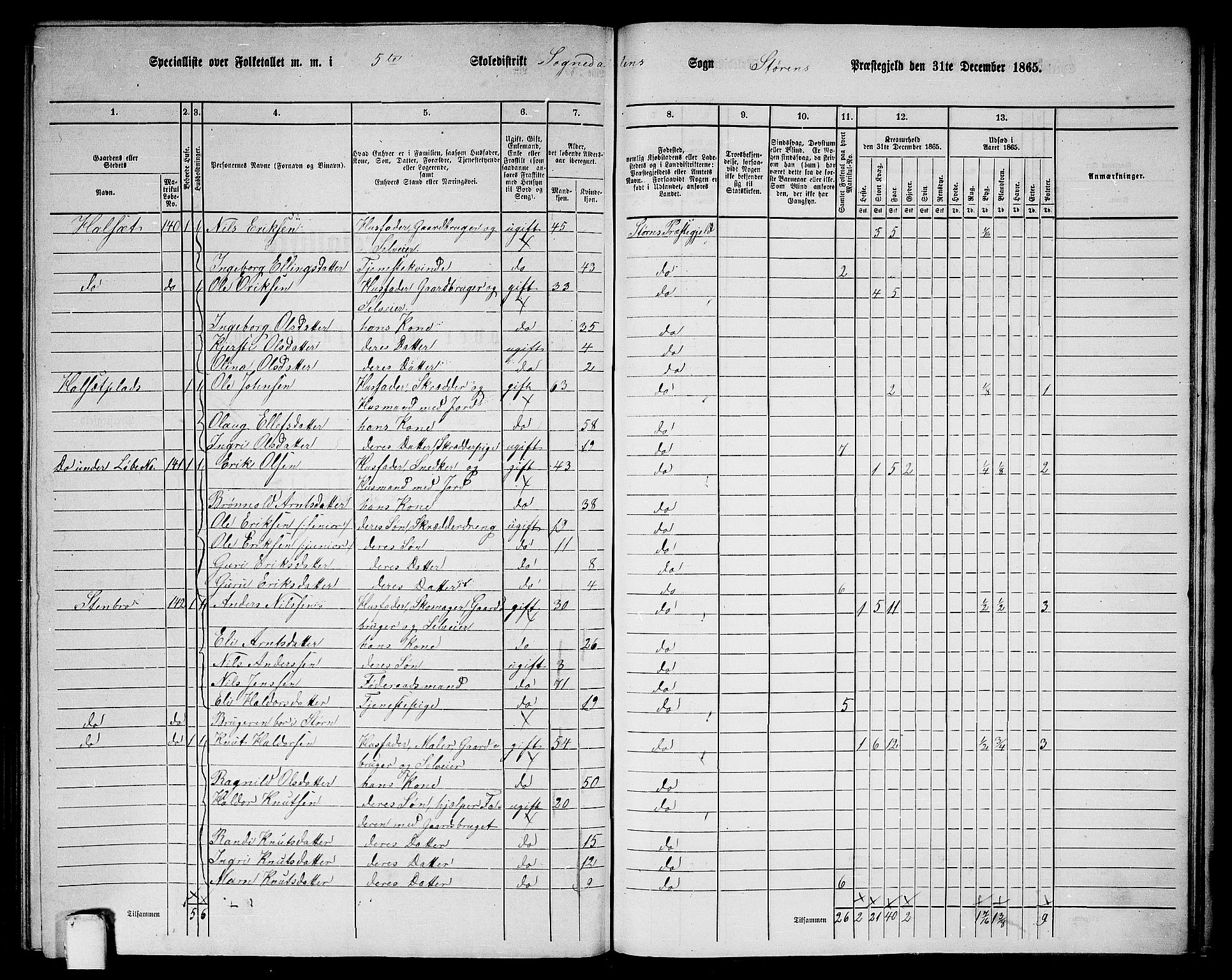 RA, 1865 census for Støren, 1865, p. 287