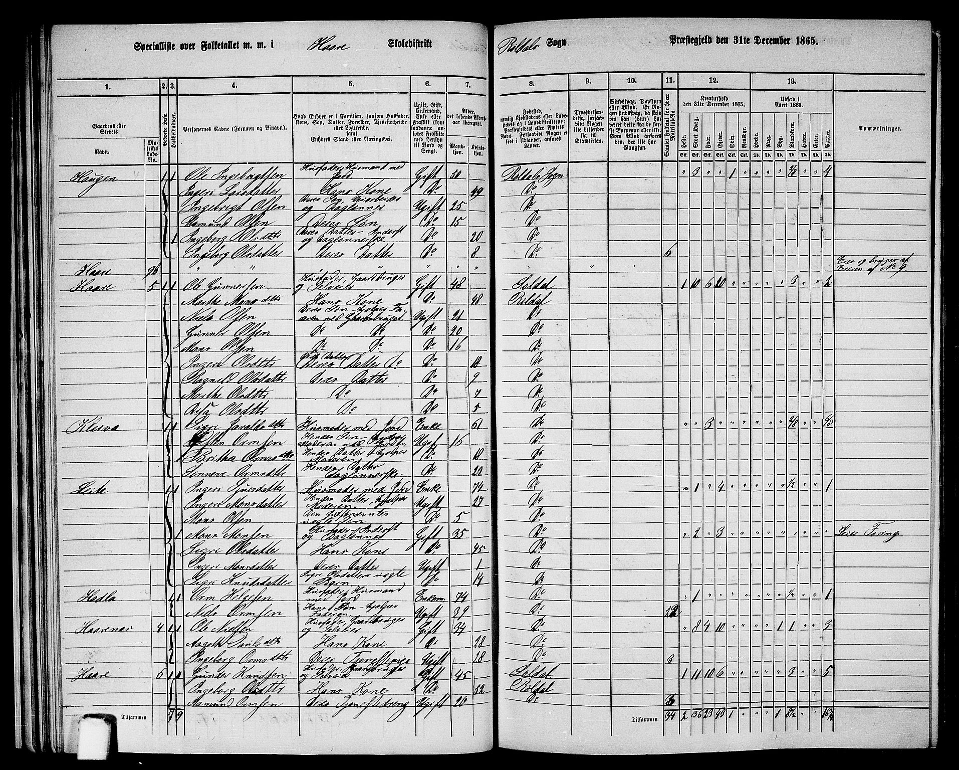 RA, 1865 census for Suldal, 1865, p. 163