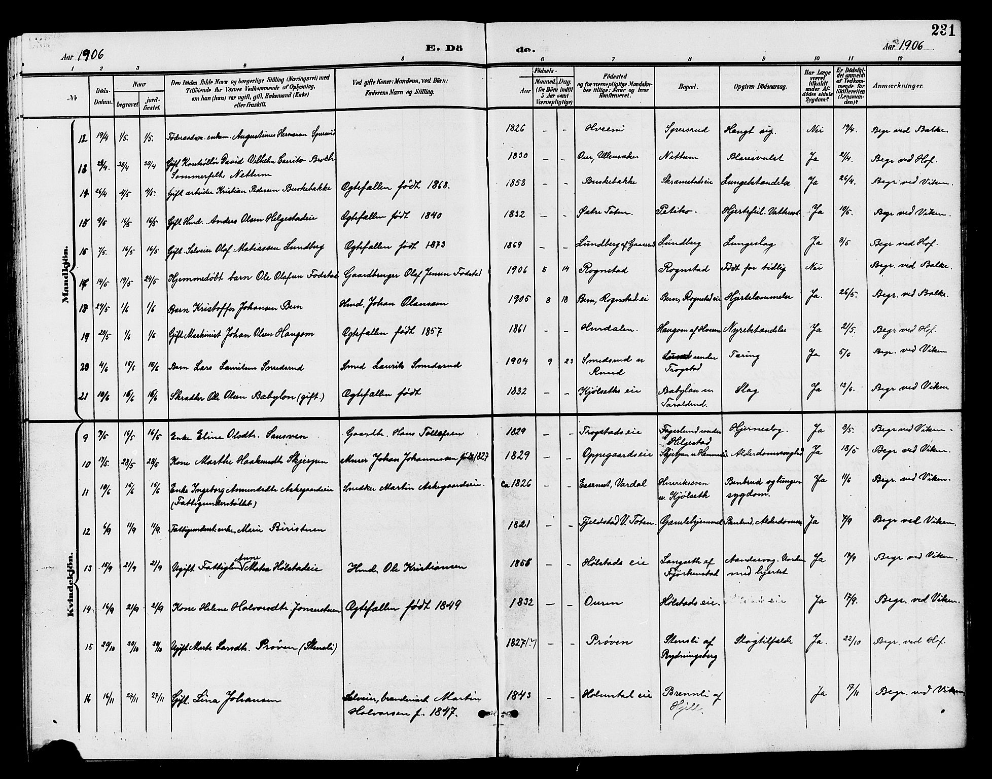 Østre Toten prestekontor, SAH/PREST-104/H/Ha/Hab/L0007: Parish register (copy) no. 7, 1901-1912, p. 231