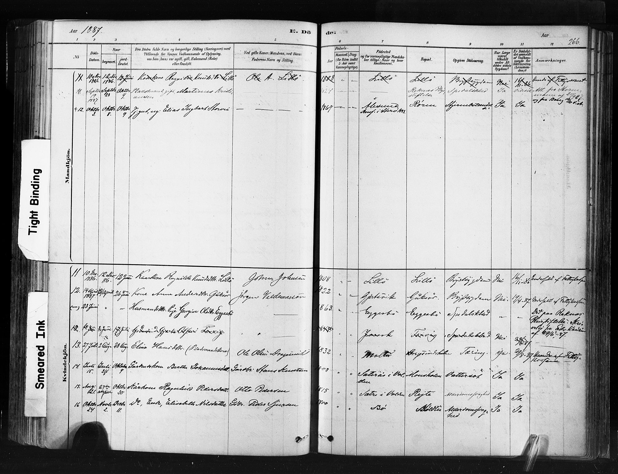 Ministerialprotokoller, klokkerbøker og fødselsregistre - Møre og Romsdal, AV/SAT-A-1454/507/L0073: Parish register (official) no. 507A08, 1878-1904, p. 266