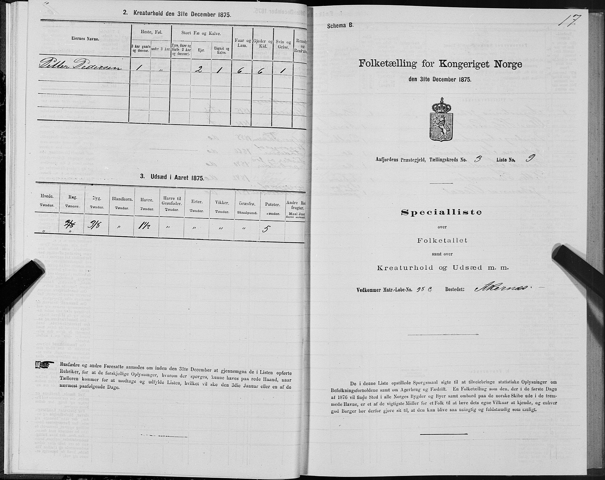SAT, 1875 census for 1630P Aafjorden, 1875, p. 2017