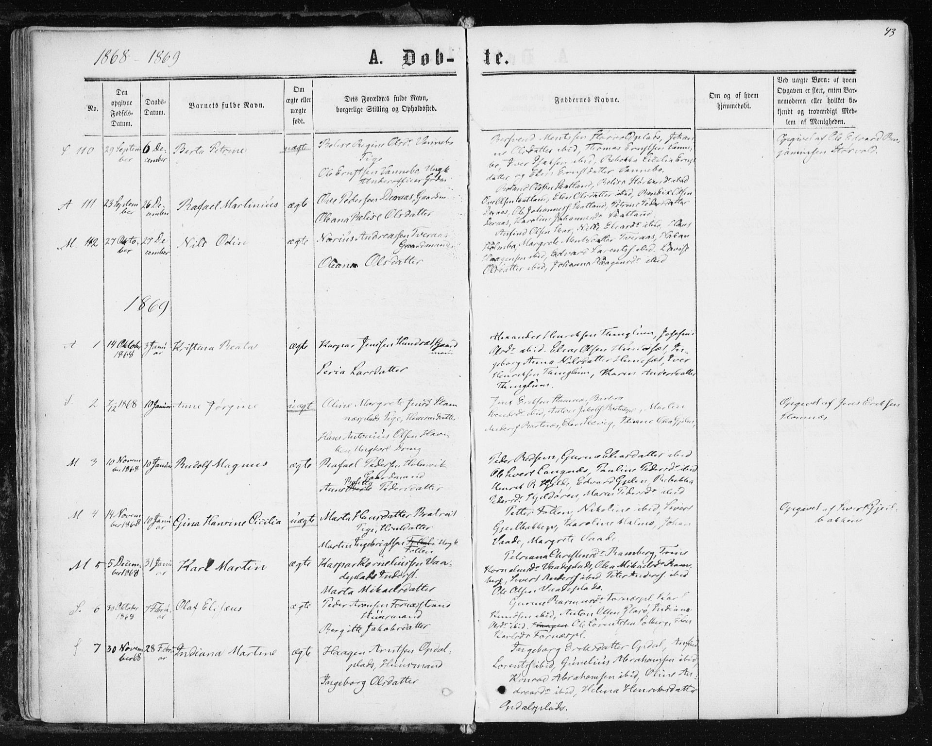 Ministerialprotokoller, klokkerbøker og fødselsregistre - Nord-Trøndelag, SAT/A-1458/741/L0394: Parish register (official) no. 741A08, 1864-1877, p. 43
