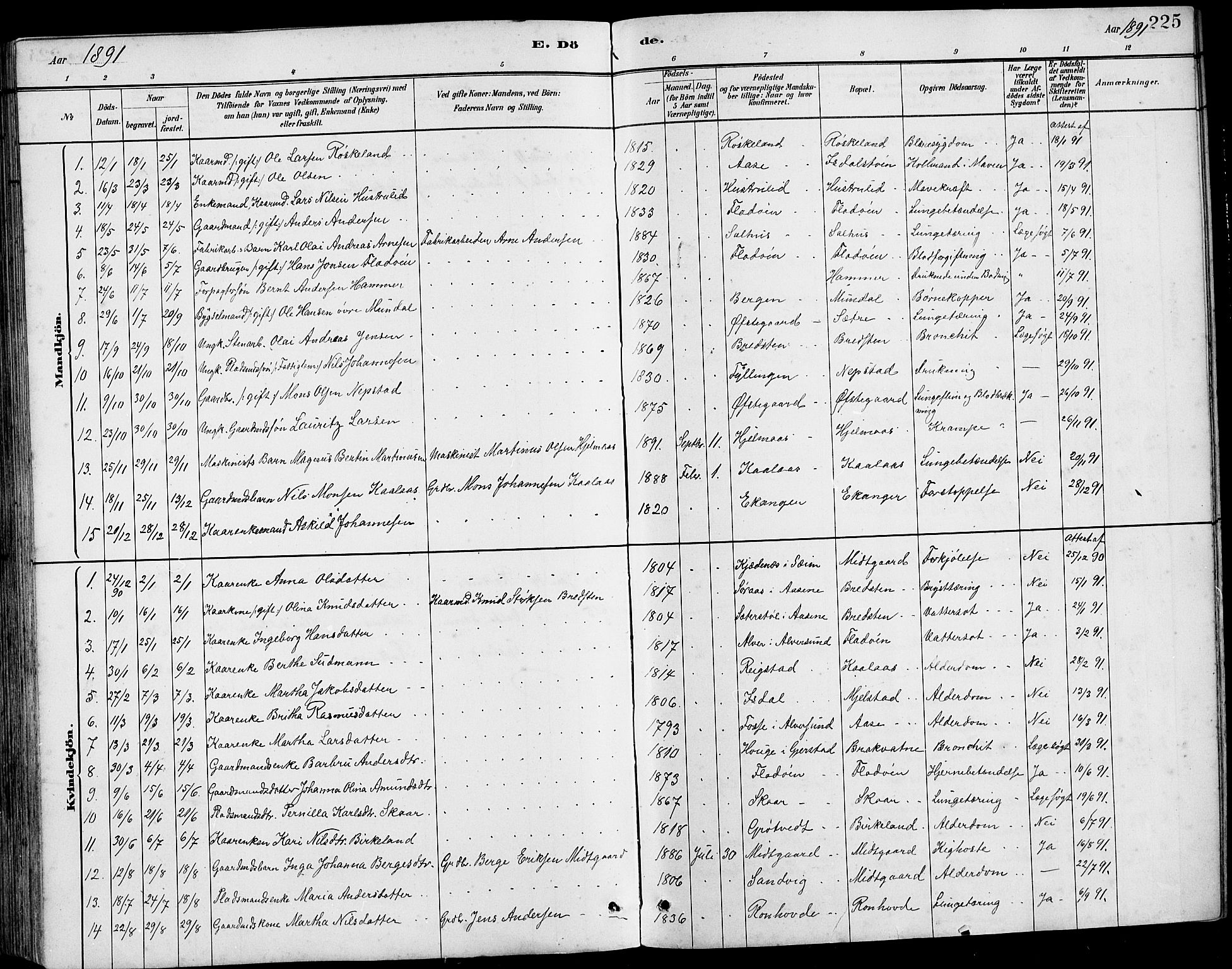 Hamre sokneprestembete, AV/SAB-A-75501/H/Ha/Hab: Parish register (copy) no. B 3, 1881-1898, p. 225