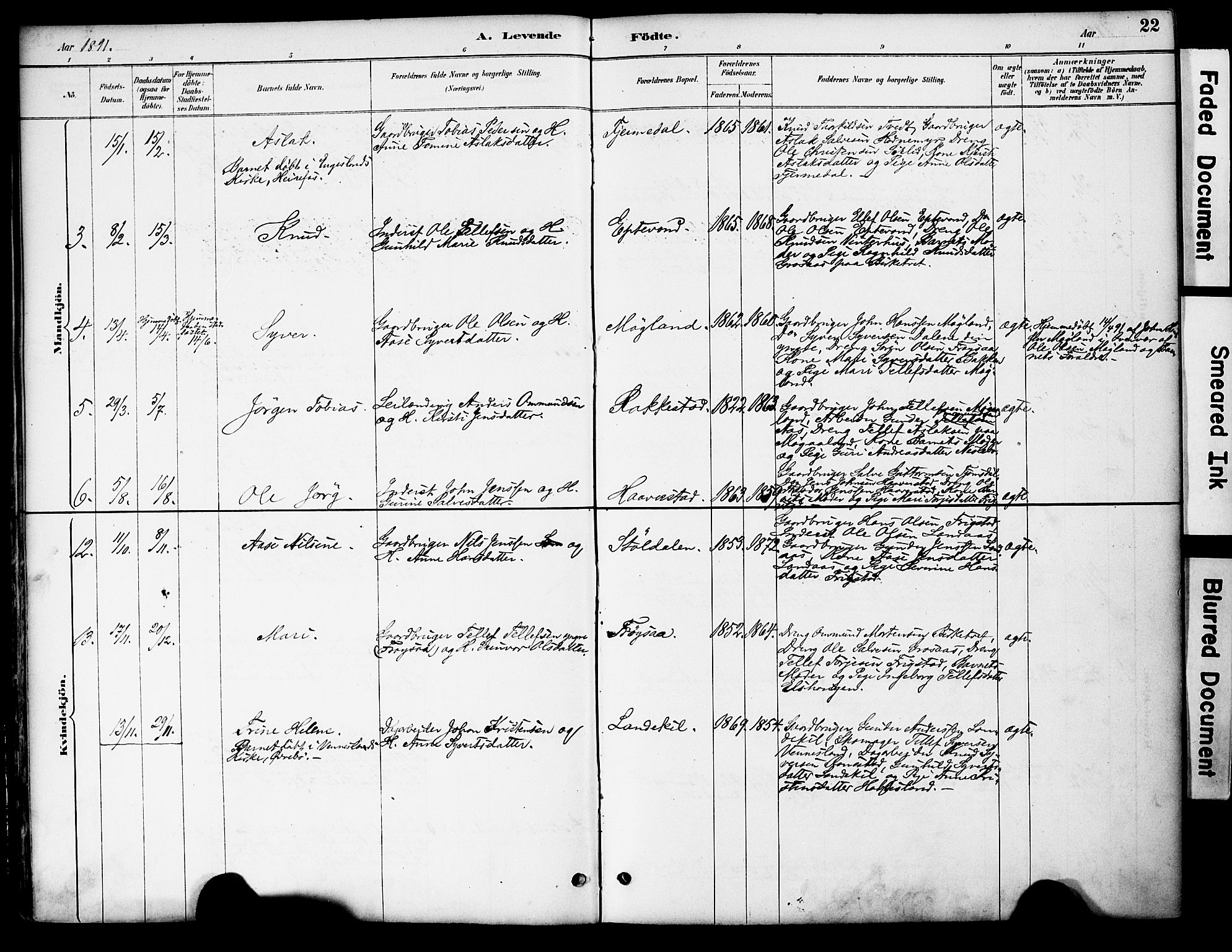 Evje sokneprestkontor, AV/SAK-1111-0008/F/Fa/Fac/L0003: Parish register (official) no. A 3, 1884-1909, p. 22