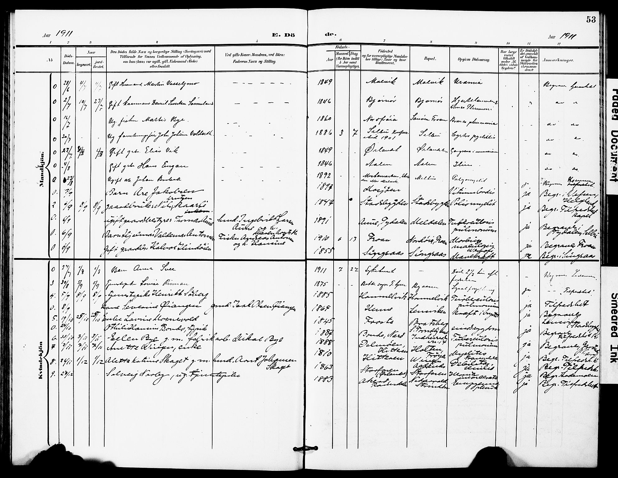 Ministerialprotokoller, klokkerbøker og fødselsregistre - Sør-Trøndelag, AV/SAT-A-1456/628/L0483: Parish register (official) no. 628A01, 1902-1920, p. 53