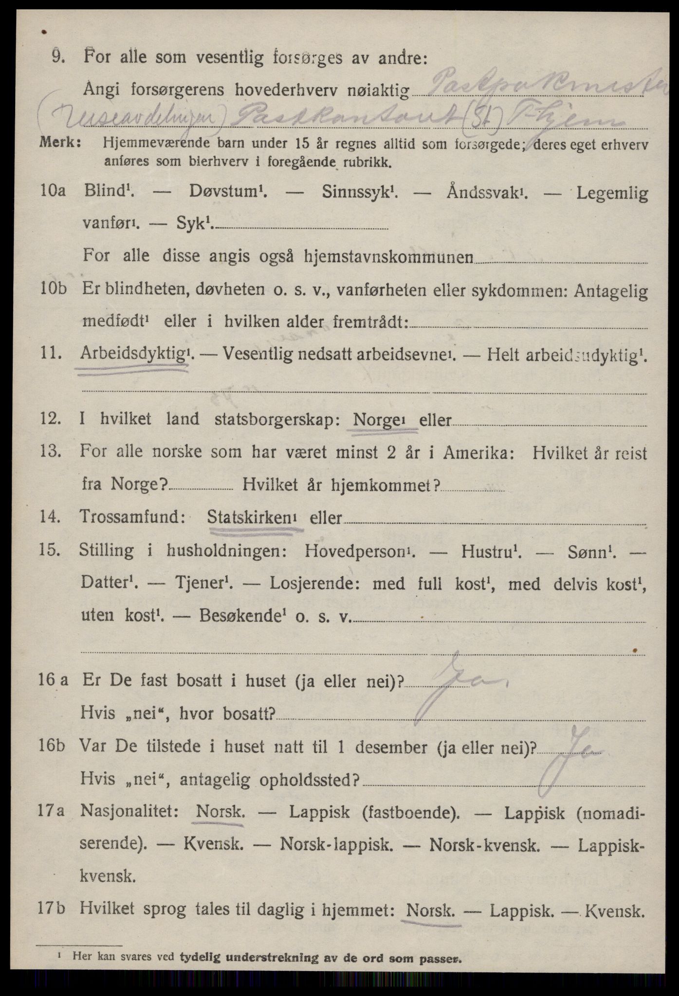 SAT, 1920 census for Strinda, 1920, p. 18007