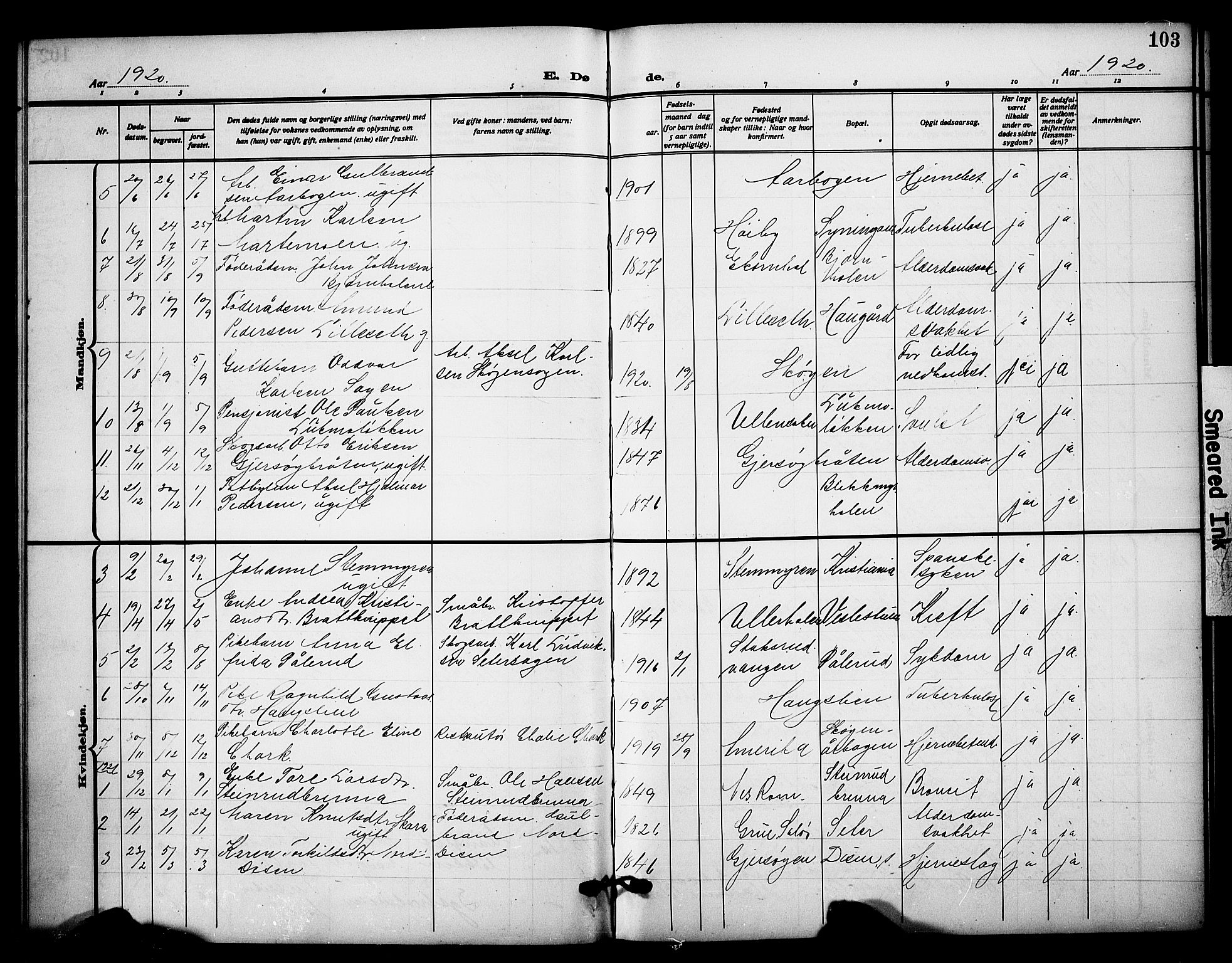 Sør-Odal prestekontor, AV/SAH-PREST-030/H/Ha/Hab/L0009: Parish register (copy) no. 9, 1915-1927, p. 103