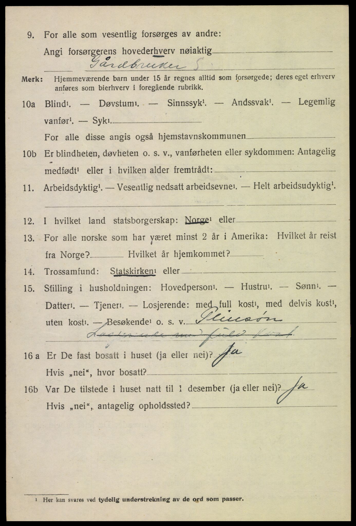 SAH, 1920 census for Sollia, 1920, p. 302