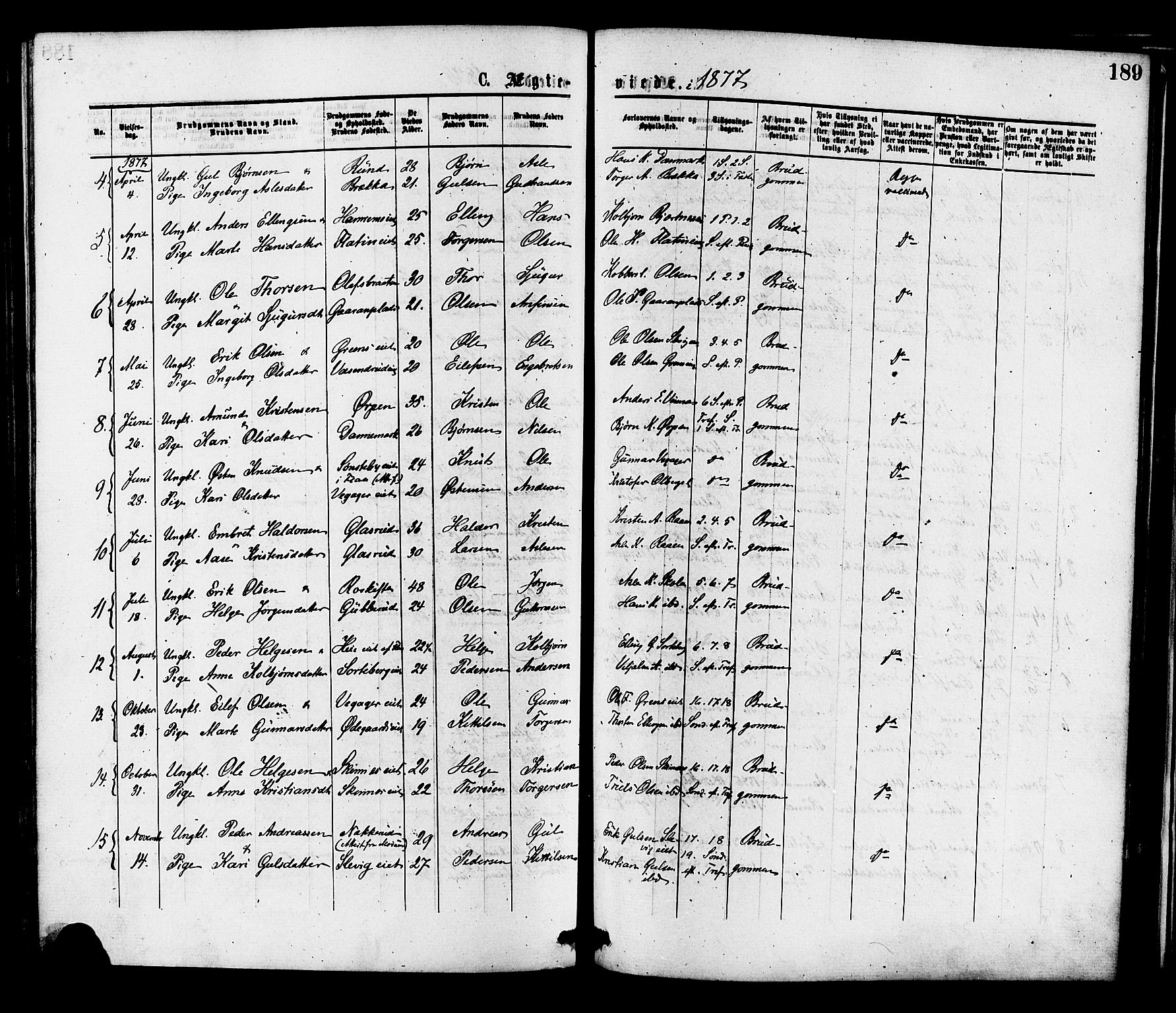 Krødsherad kirkebøker, SAKO/A-19/F/Fa/L0004: Parish register (official) no. 4, 1873-1878, p. 189