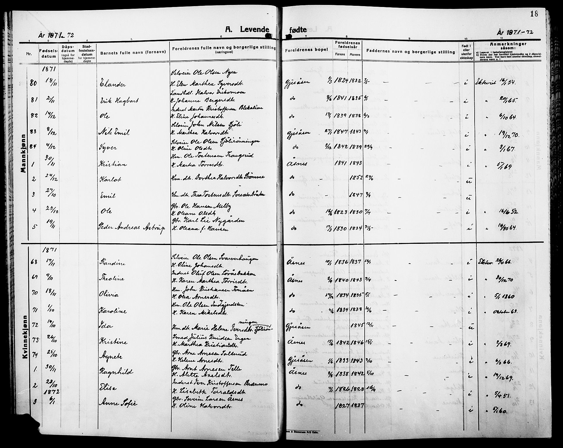 Åsnes prestekontor, AV/SAH-PREST-042/H/Ha/Haa/L0000B: Parish register (official), 1870-1889, p. 18