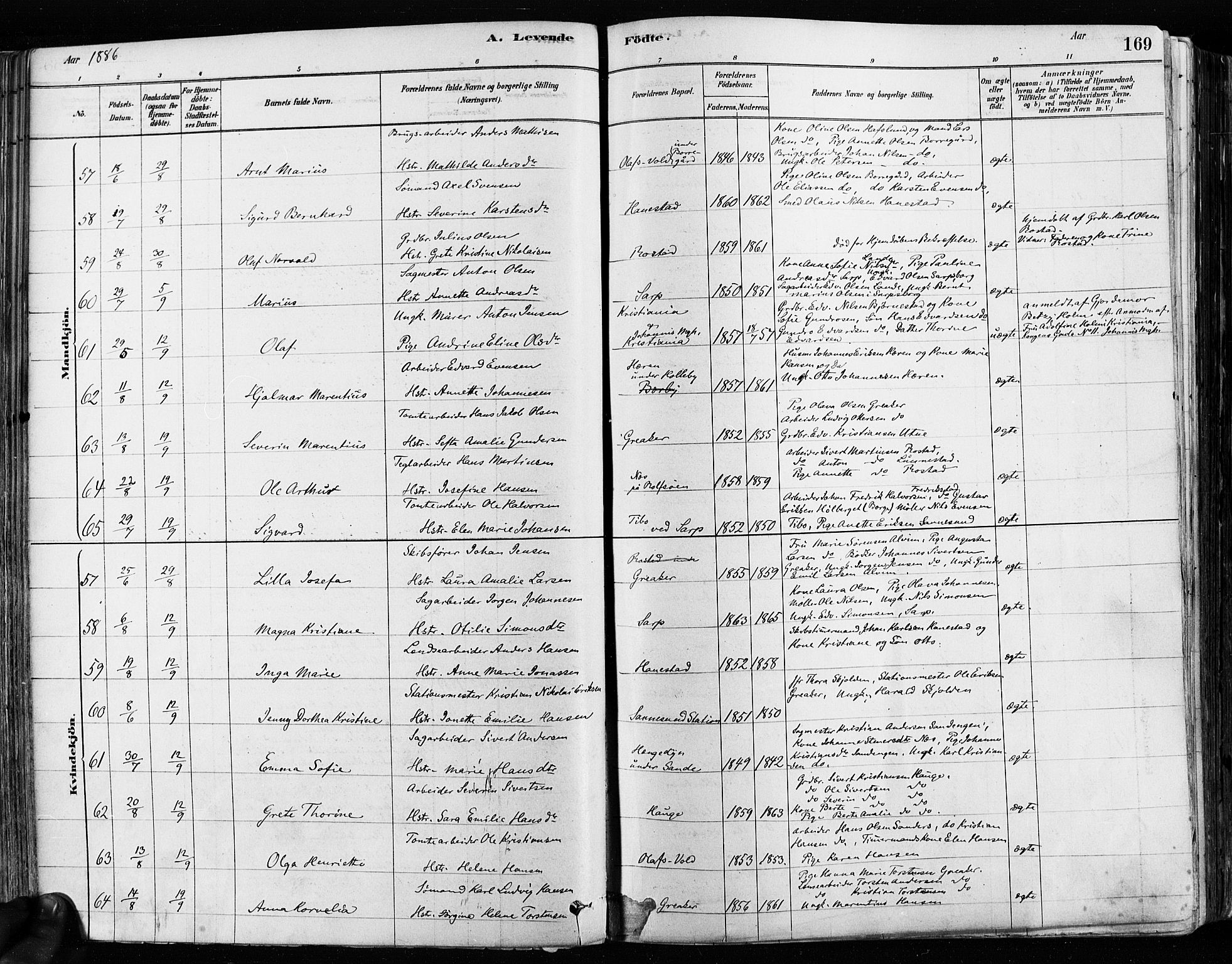 Tune prestekontor Kirkebøker, SAO/A-2007/F/Fa/L0017: Parish register (official) no. 17, 1878-1887, p. 169