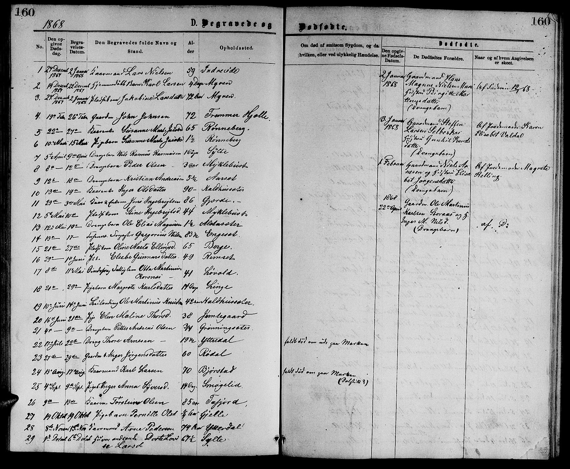 Ministerialprotokoller, klokkerbøker og fødselsregistre - Møre og Romsdal, AV/SAT-A-1454/519/L0262: Parish register (copy) no. 519C03, 1866-1884, p. 160