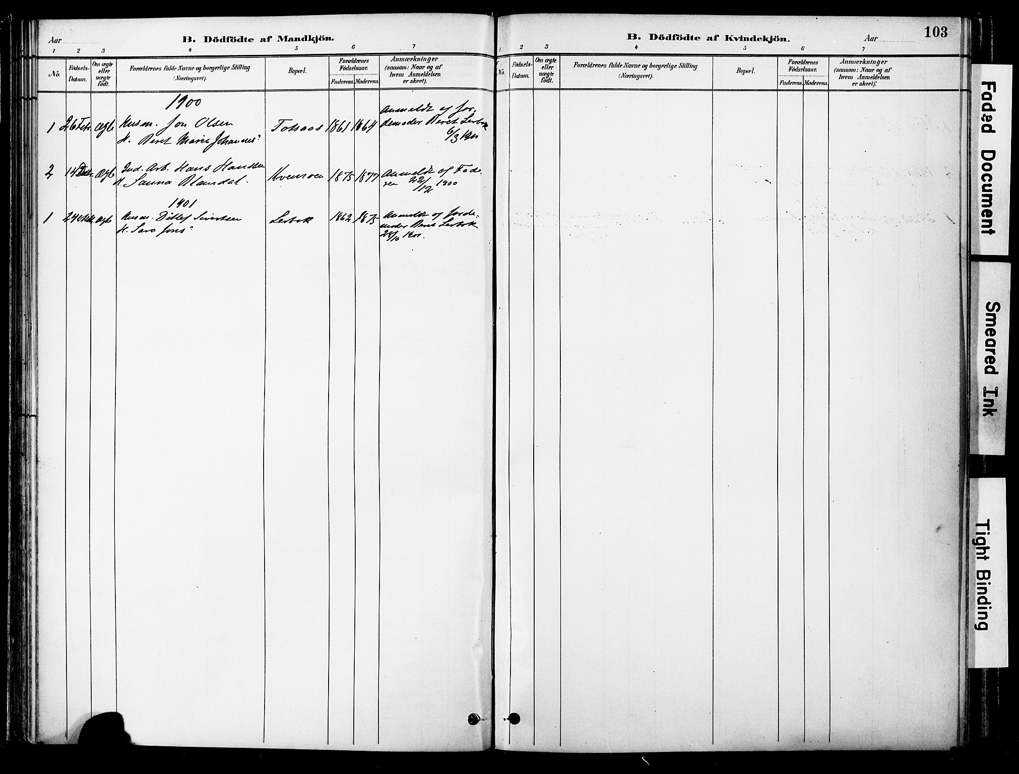 Ministerialprotokoller, klokkerbøker og fødselsregistre - Nord-Trøndelag, SAT/A-1458/755/L0494: Parish register (official) no. 755A03, 1882-1902, p. 103