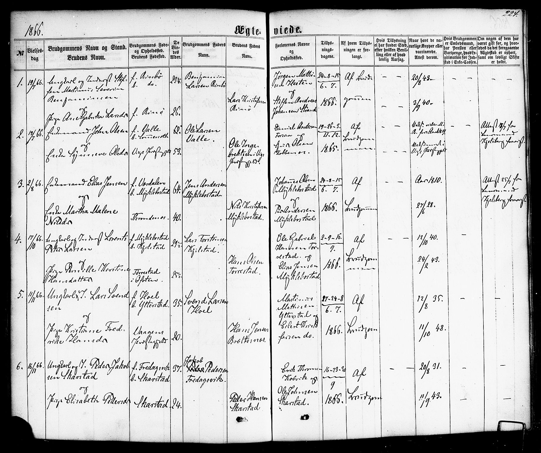 Ministerialprotokoller, klokkerbøker og fødselsregistre - Nordland, SAT/A-1459/872/L1034: Parish register (official) no. 872A09, 1864-1884, p. 224