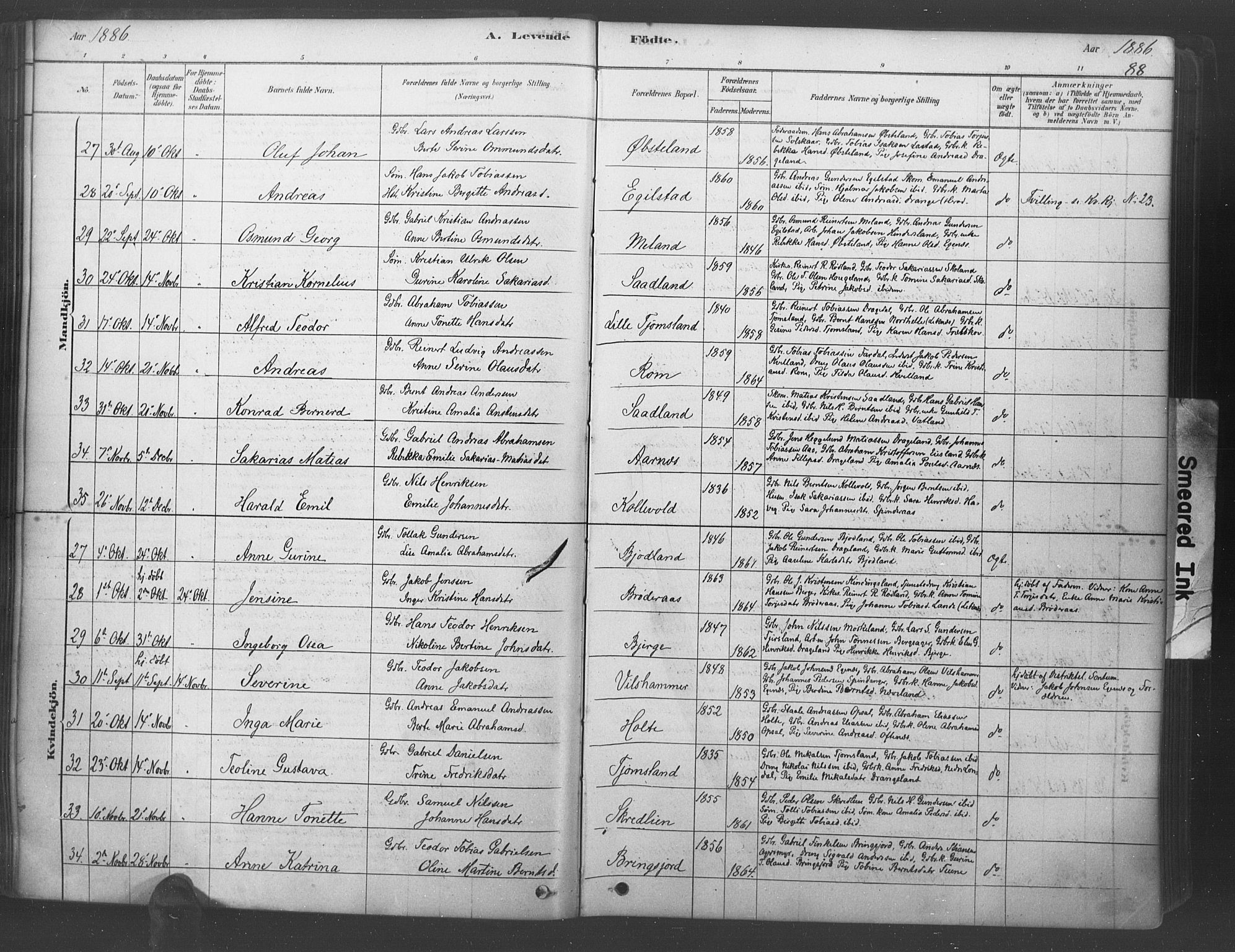 Lyngdal sokneprestkontor, AV/SAK-1111-0029/F/Fa/Fac/L0011: Parish register (official) no. A 11, 1878-1893, p. 88