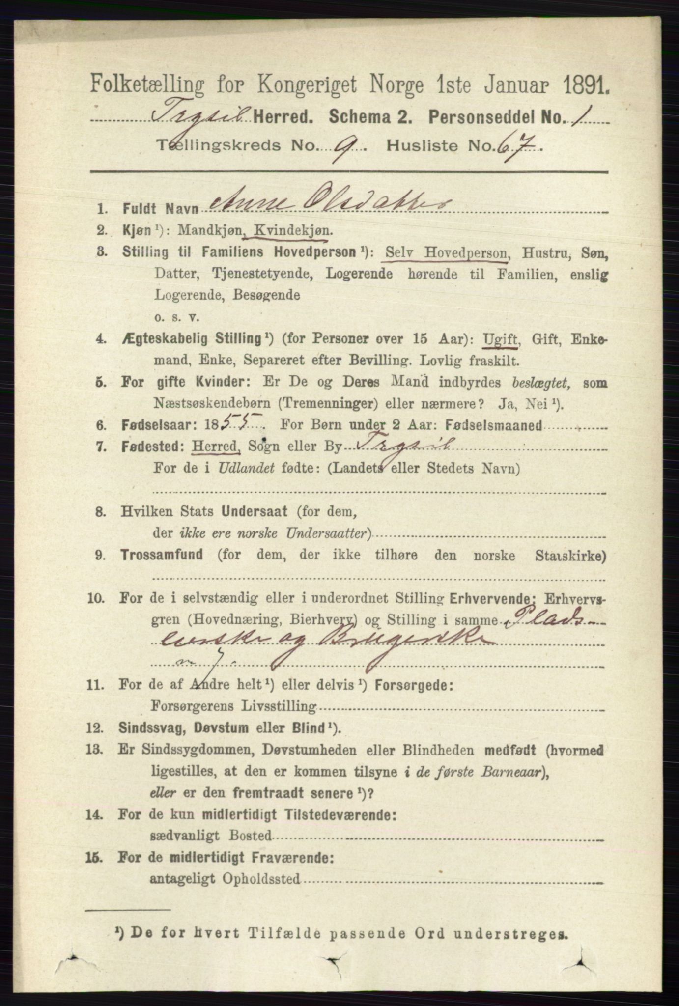 RA, 1891 census for 0428 Trysil, 1891, p. 4630