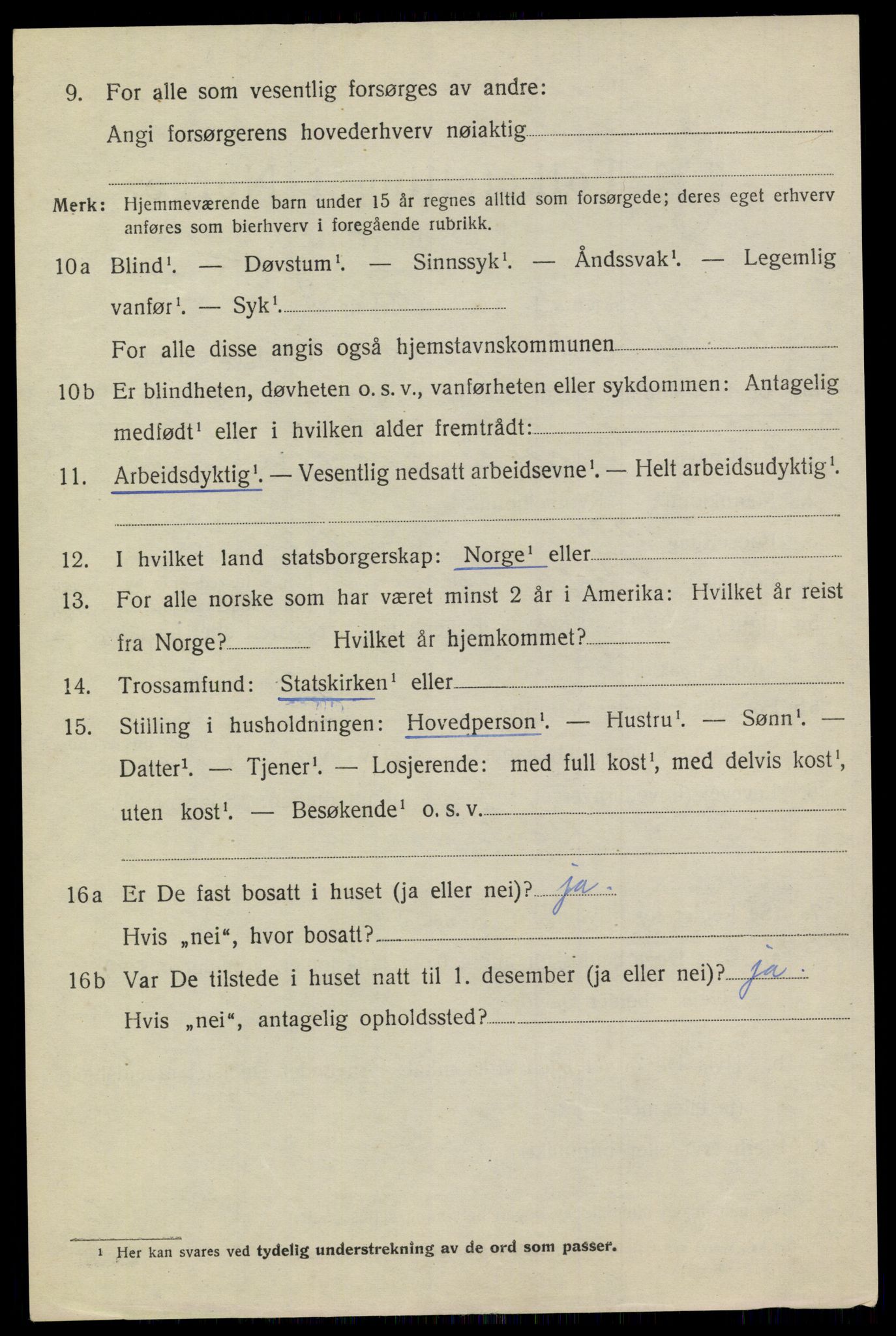 SAKO, 1920 census for Heddal, 1920, p. 4939