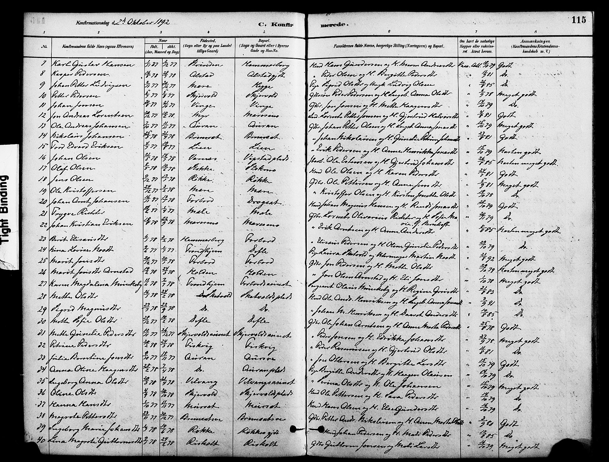 Ministerialprotokoller, klokkerbøker og fødselsregistre - Nord-Trøndelag, SAT/A-1458/712/L0100: Parish register (official) no. 712A01, 1880-1900, p. 115