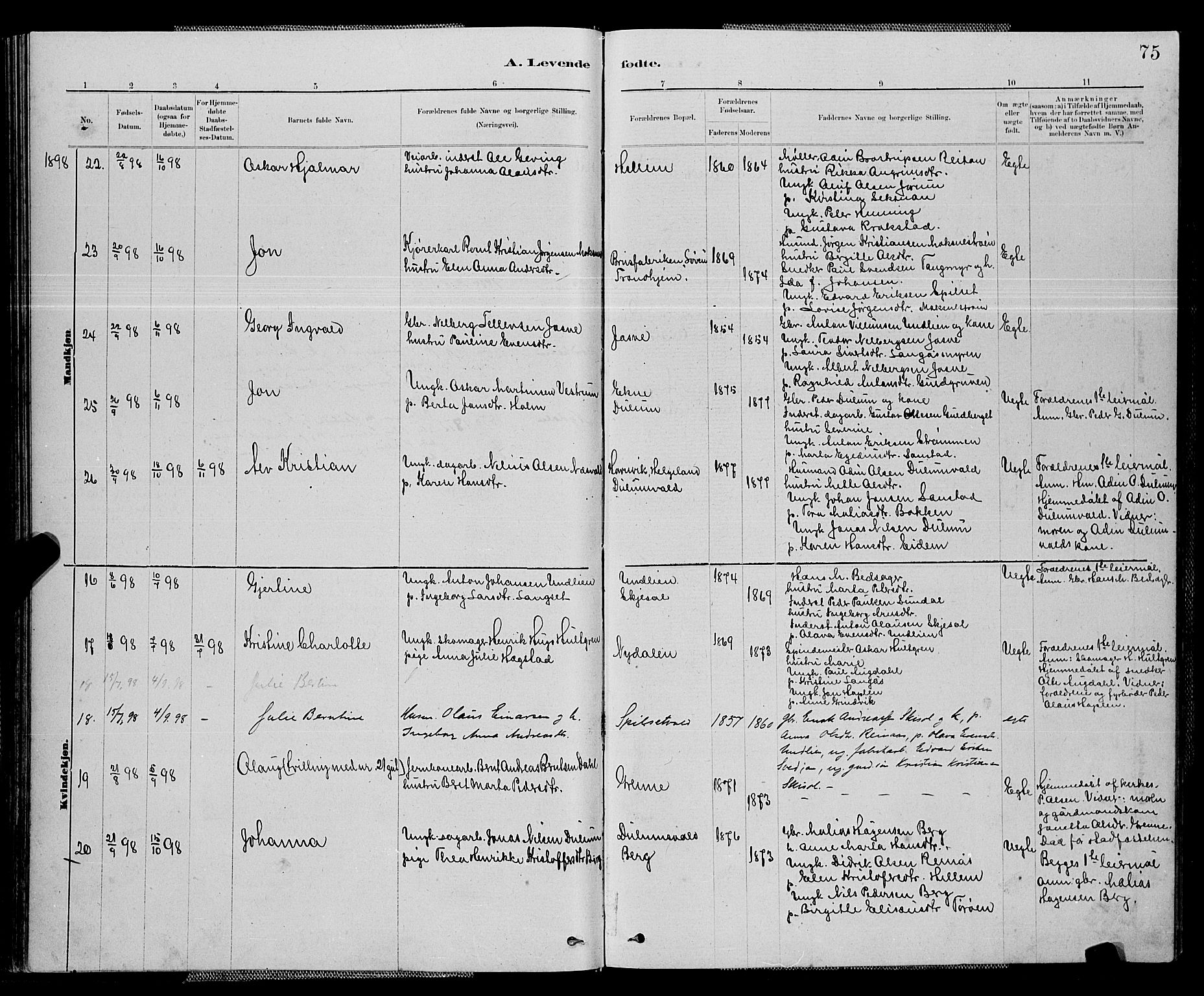 Ministerialprotokoller, klokkerbøker og fødselsregistre - Nord-Trøndelag, SAT/A-1458/714/L0134: Parish register (copy) no. 714C03, 1878-1898, p. 75
