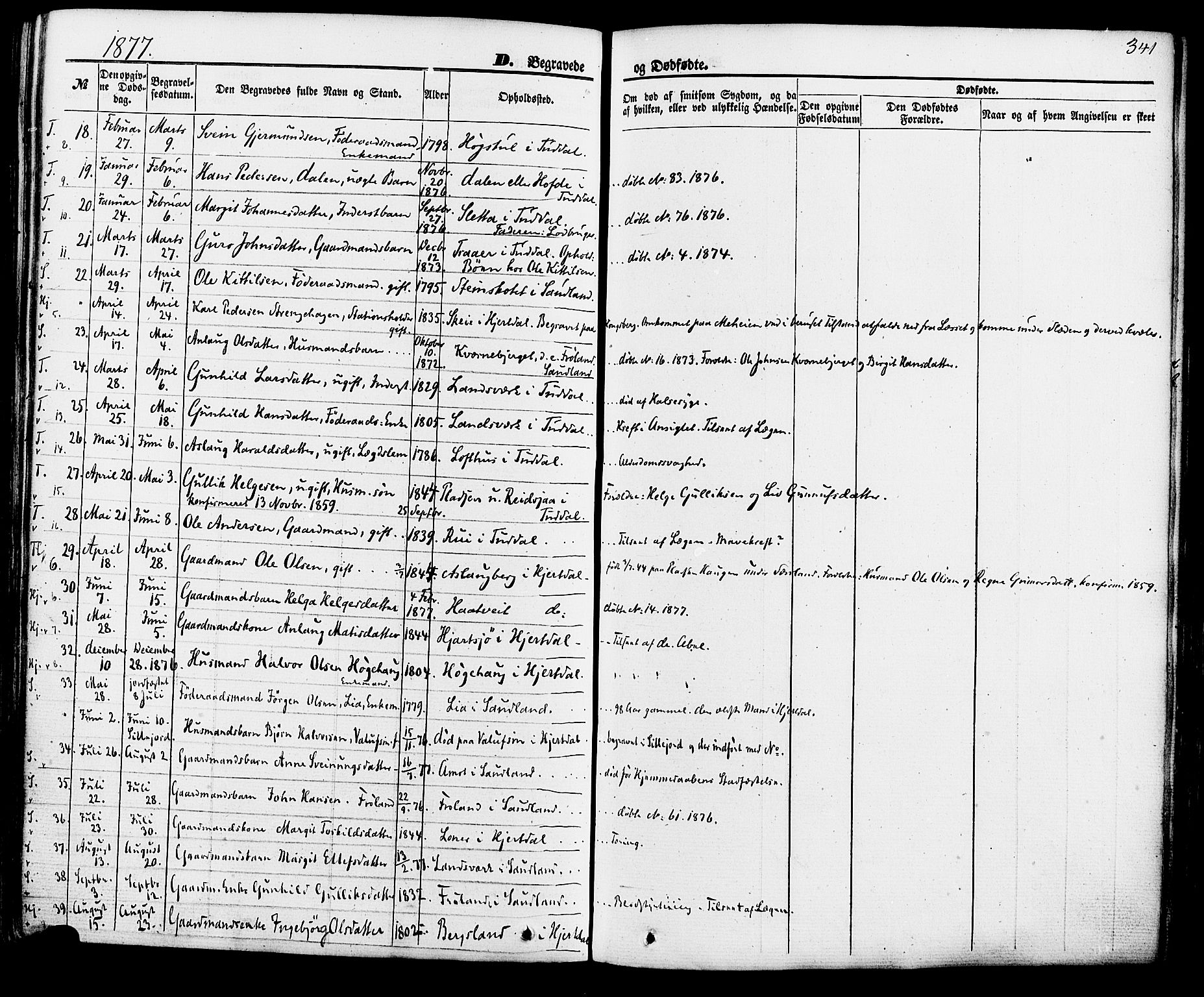Hjartdal kirkebøker, SAKO/A-270/F/Fa/L0009: Parish register (official) no. I 9, 1860-1879, p. 341