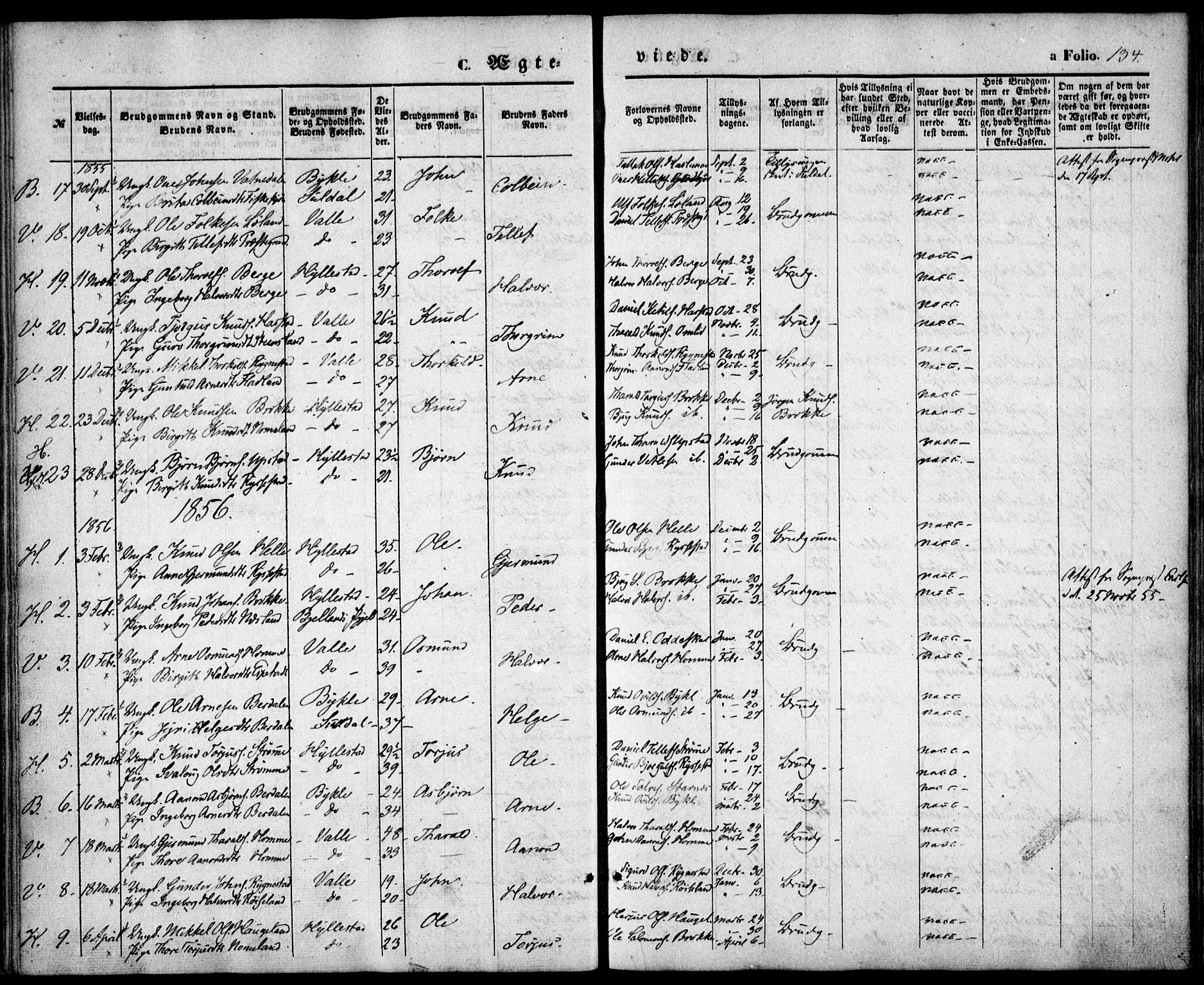 Valle sokneprestkontor, SAK/1111-0044/F/Fa/Fac/L0007: Parish register (official) no. A 7, 1854-1868, p. 134