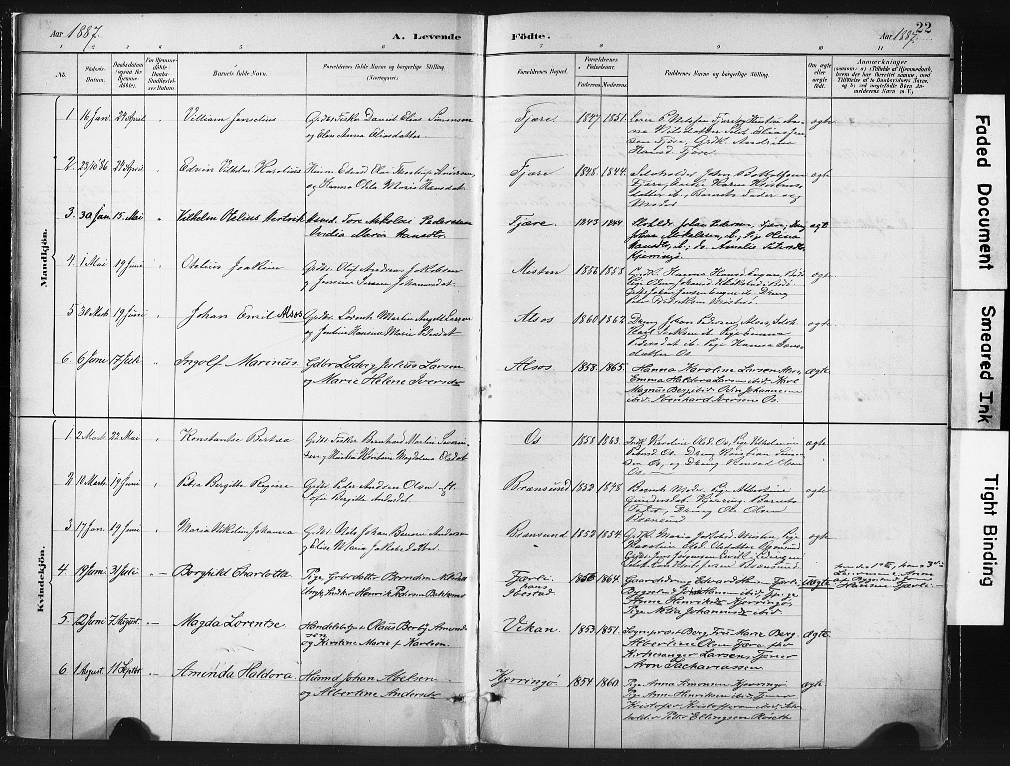 Ministerialprotokoller, klokkerbøker og fødselsregistre - Nordland, SAT/A-1459/803/L0071: Parish register (official) no. 803A01, 1881-1897, p. 22