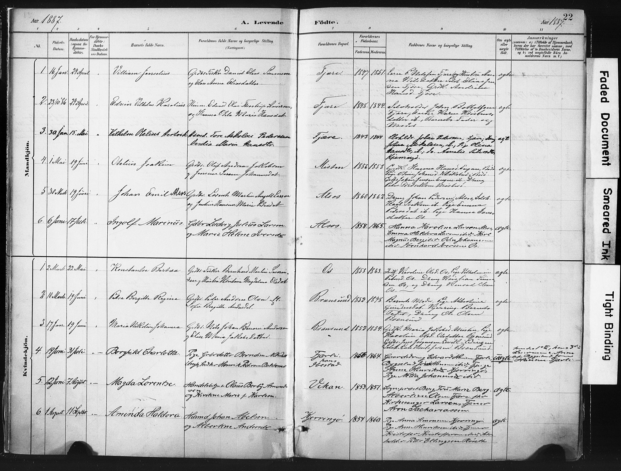 Ministerialprotokoller, klokkerbøker og fødselsregistre - Nordland, AV/SAT-A-1459/803/L0071: Parish register (official) no. 803A01, 1881-1897, p. 22