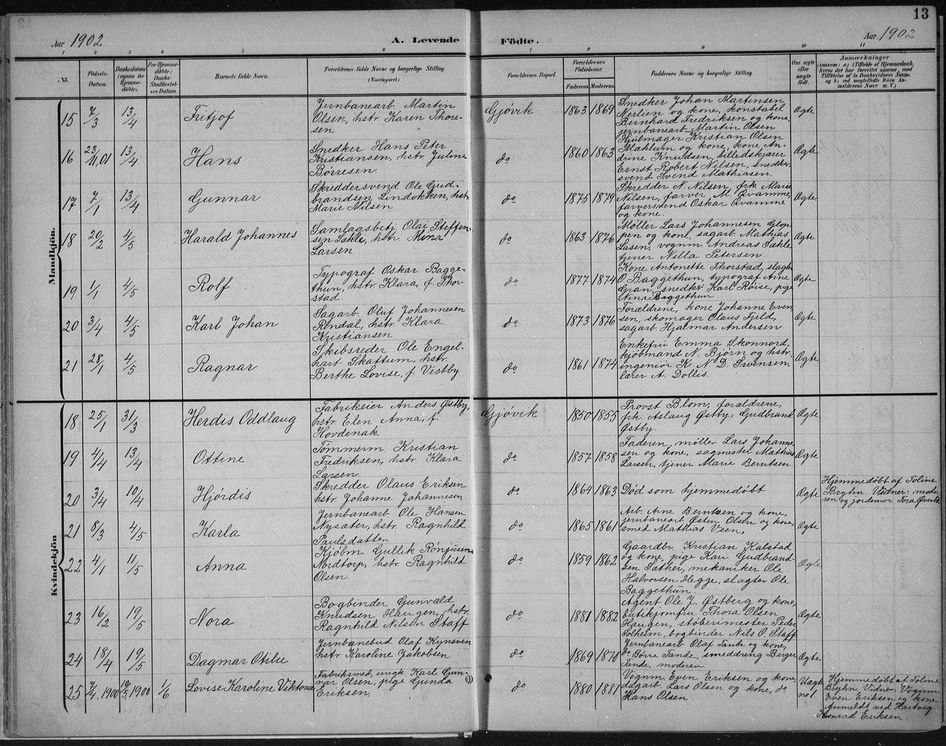 Vardal prestekontor, SAH/PREST-100/H/Ha/Haa/L0013: Parish register (official) no. 13, 1901-1911, p. 13