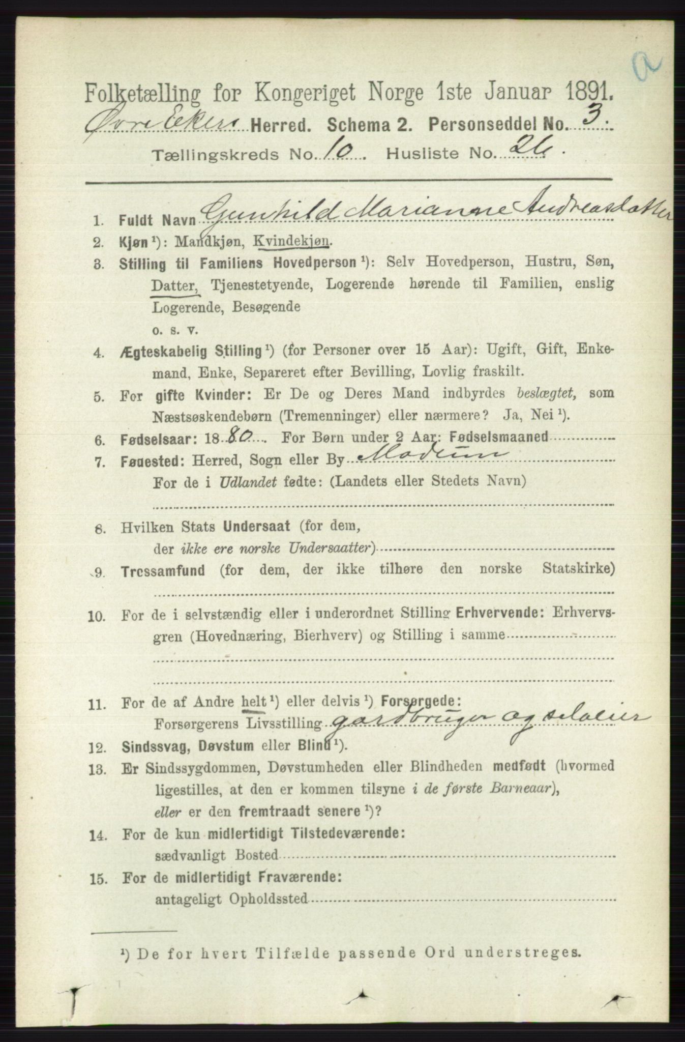 RA, 1891 census for 0624 Øvre Eiker, 1891, p. 4191