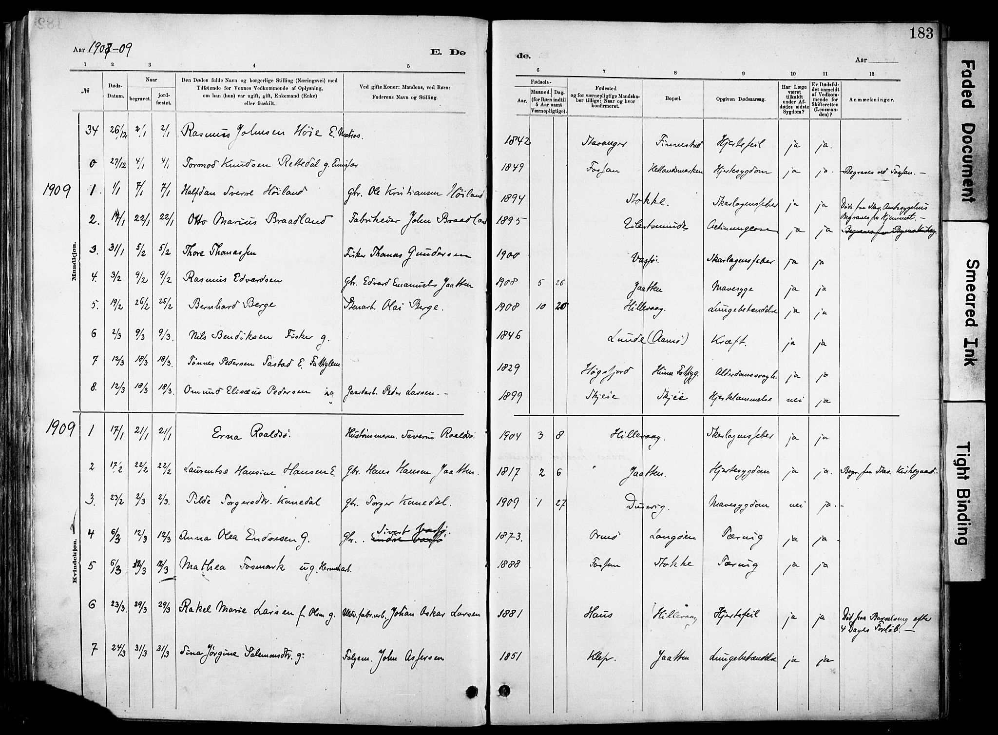 Hetland sokneprestkontor, AV/SAST-A-101826/30/30BA/L0012: Parish register (official) no. A 12, 1882-1912, p. 183