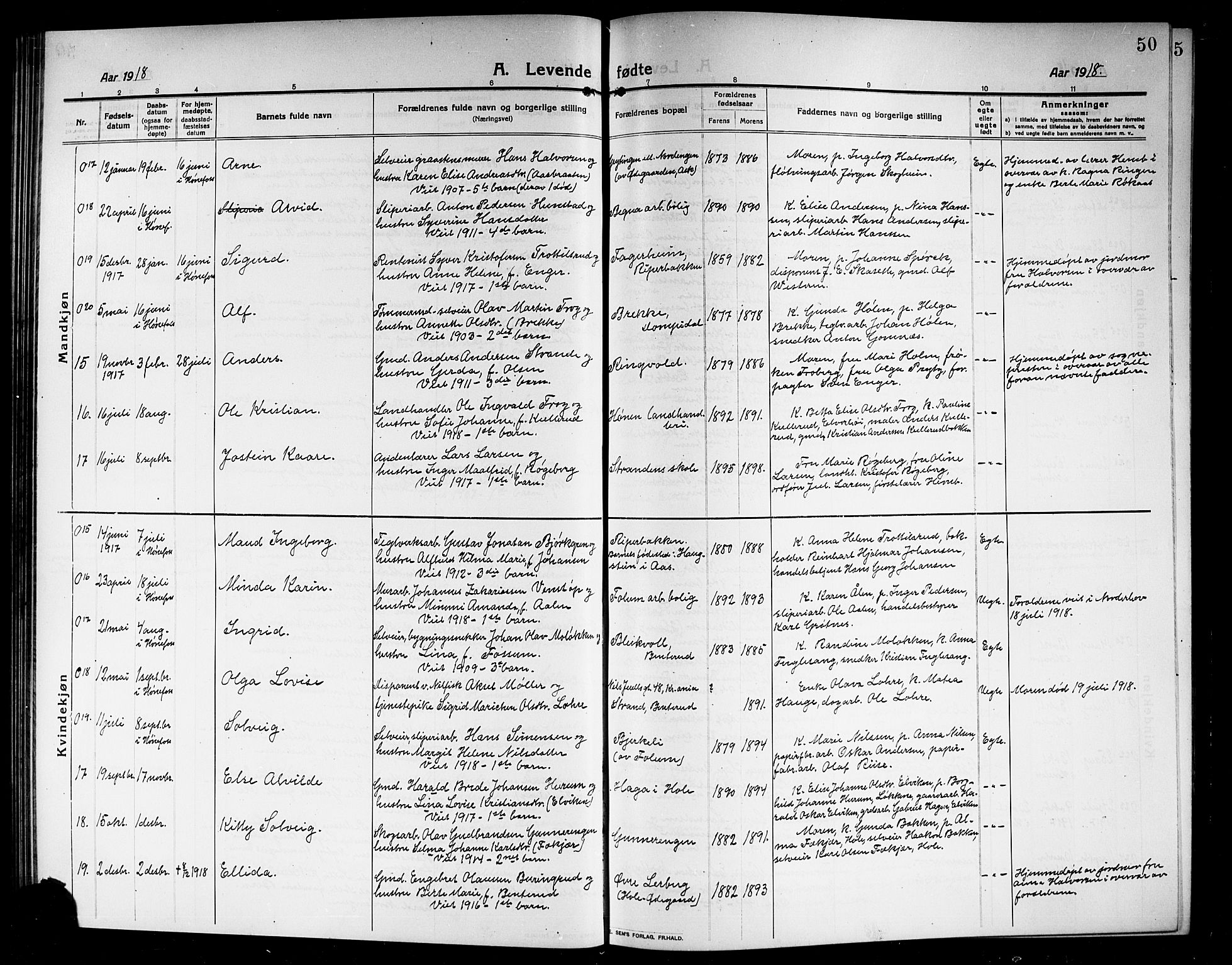 Norderhov kirkebøker, AV/SAKO-A-237/G/Ga/L0009: Parish register (copy) no. I 9, 1913-1920, p. 50