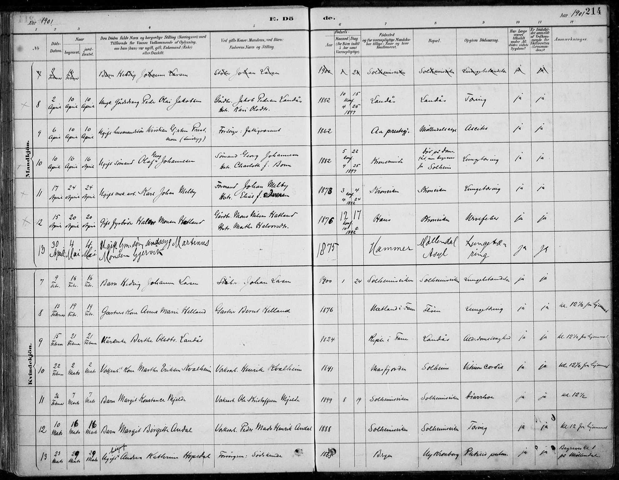Årstad Sokneprestembete, AV/SAB-A-79301/H/Haa/L0006: Parish register (official) no. B 1, 1886-1901, p. 214