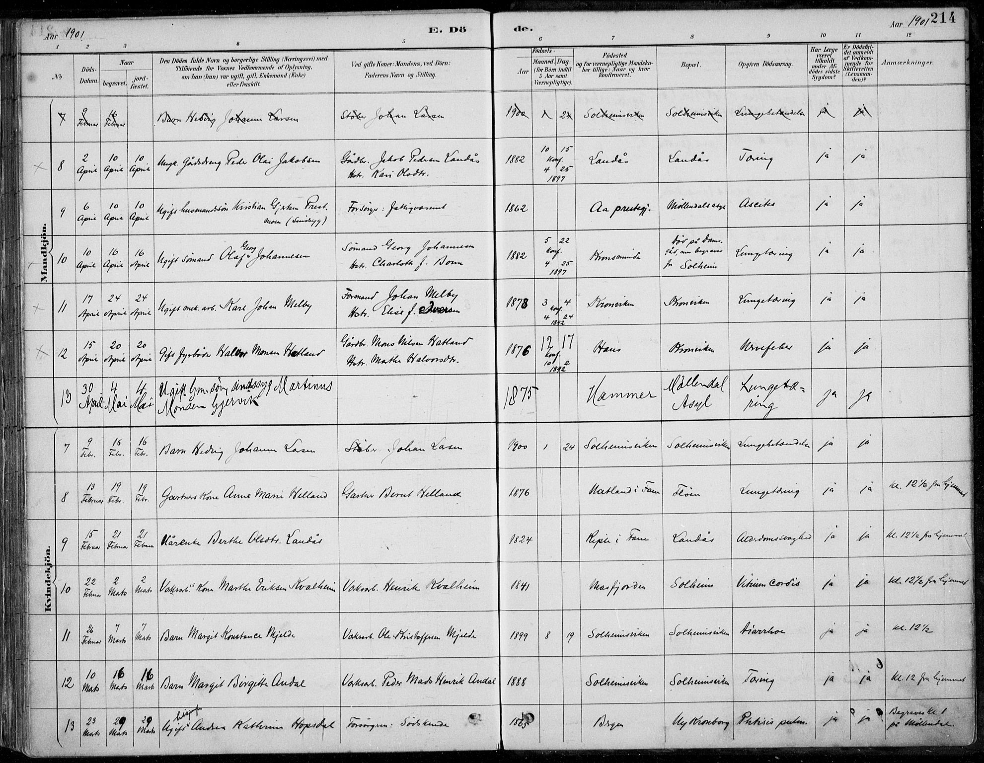 Årstad Sokneprestembete, SAB/A-79301/H/Haa/L0006: Parish register (official) no. B 1, 1886-1901, p. 214