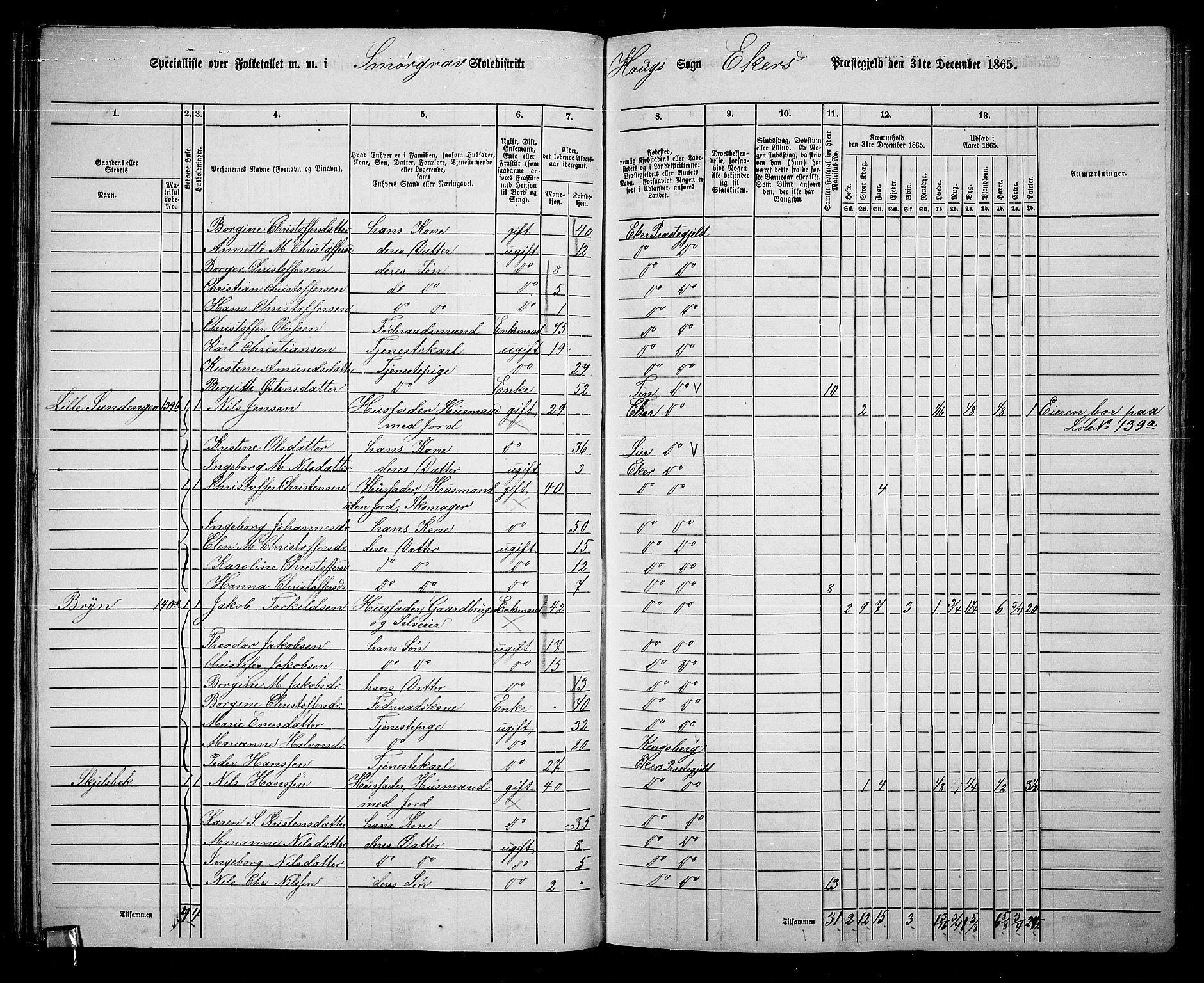 RA, 1865 census for Eiker, 1865, p. 44